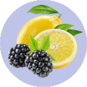 Collagen:  Blackberry Lemonade Super Collagen Mix (10 Single Serving Stick Packs)
