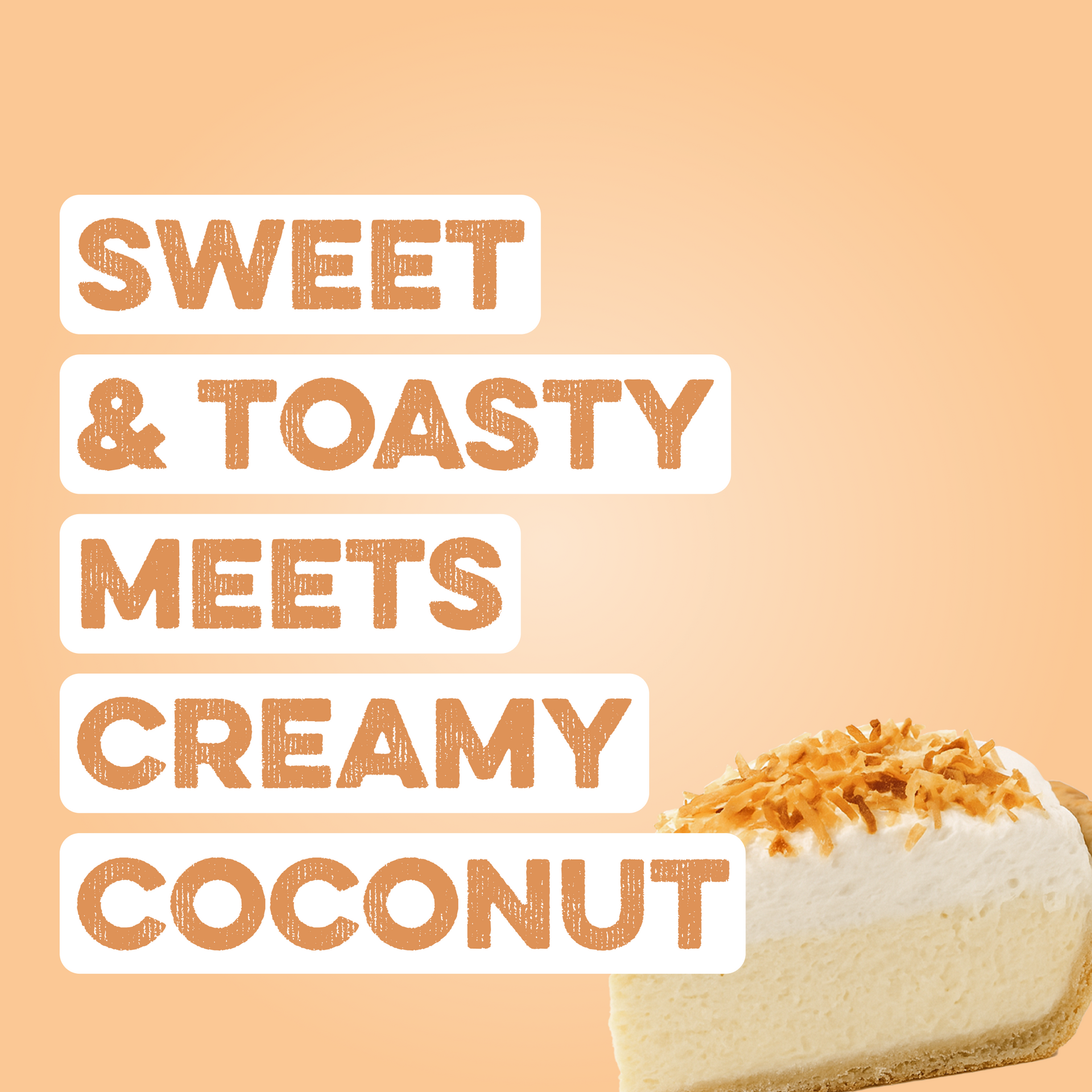 Protein Powder: Coconut Cream (10 Single Serving Stick Packs)