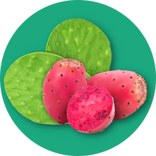 Clear Protein: Prickly Pear (12 Pack)