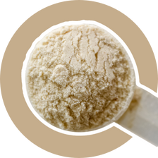 Collagen + Beauty Blend: Unflavored (10 Single Serving Stick Pack)