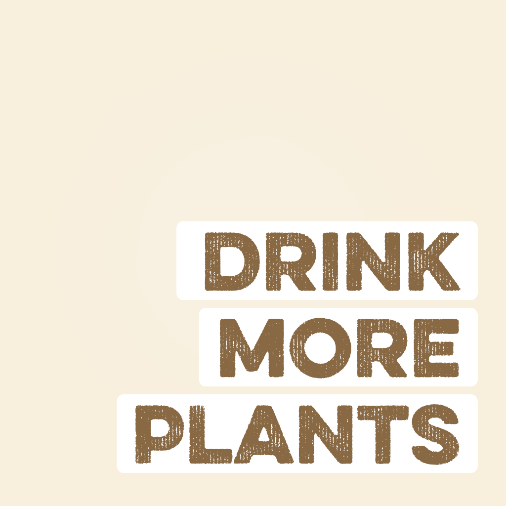 Protein Powder: Vegan Vanilla (30 Serving Bag)