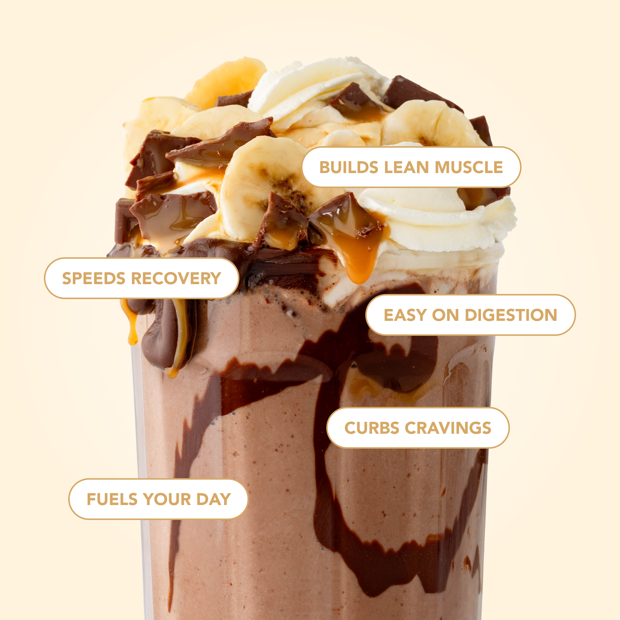 10-Flavor Variety Pack (10 Single Serving Stick Packs)