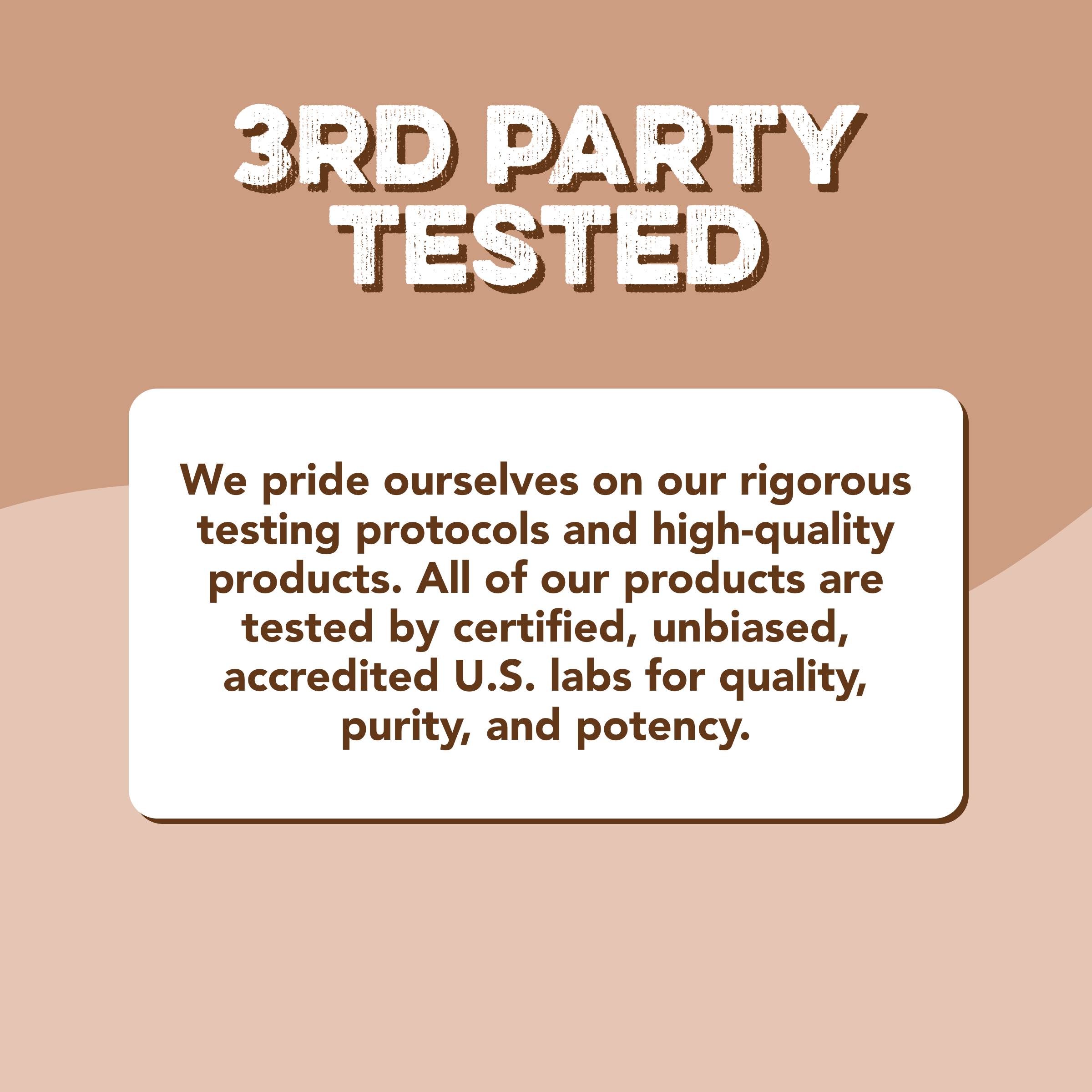 Protein Powder: Chocolate Brownie Batter (Single Serving Stick Pack Sample)