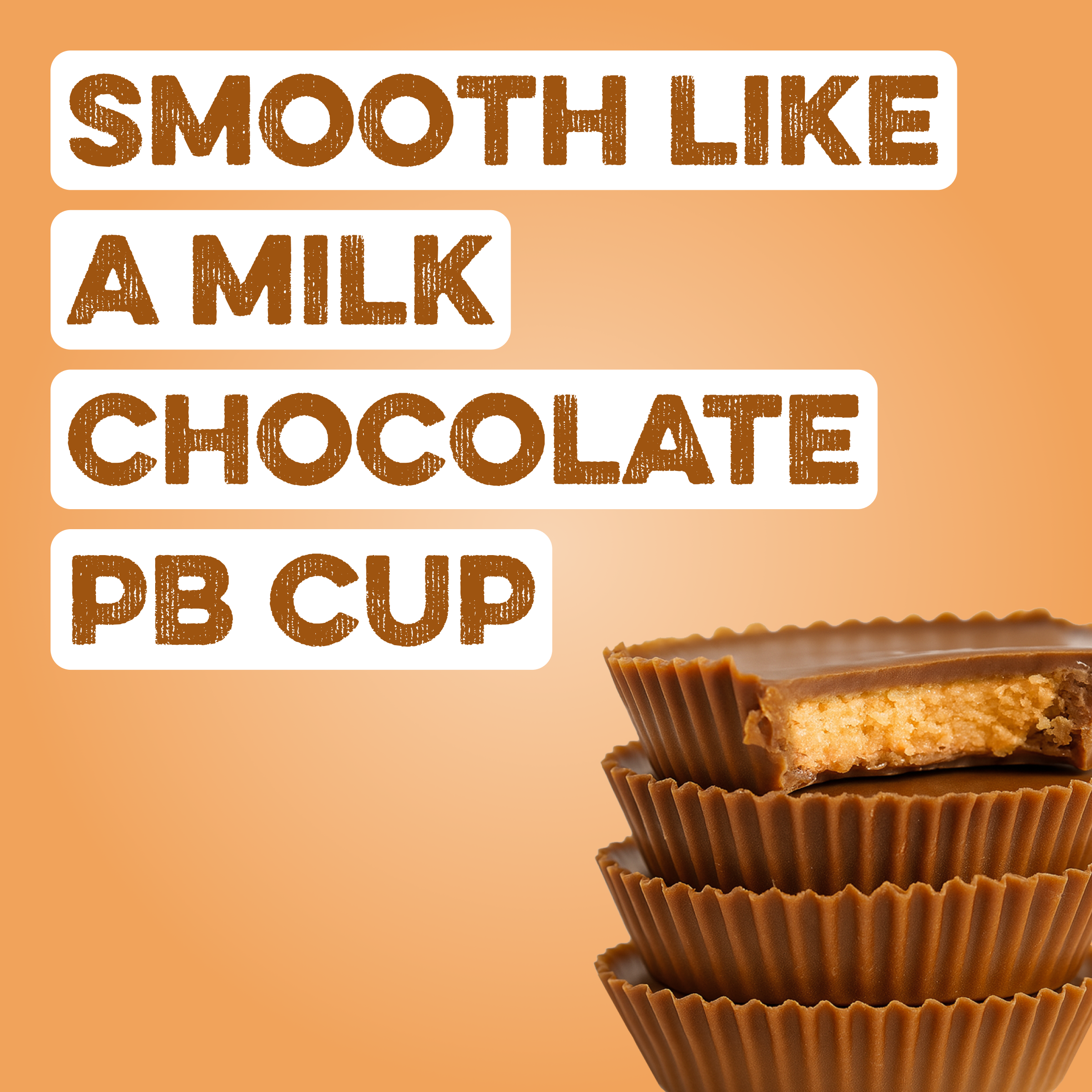 Protein Powder: Chocolate Peanut Butter (Single Serving Stick Pack Sample)
