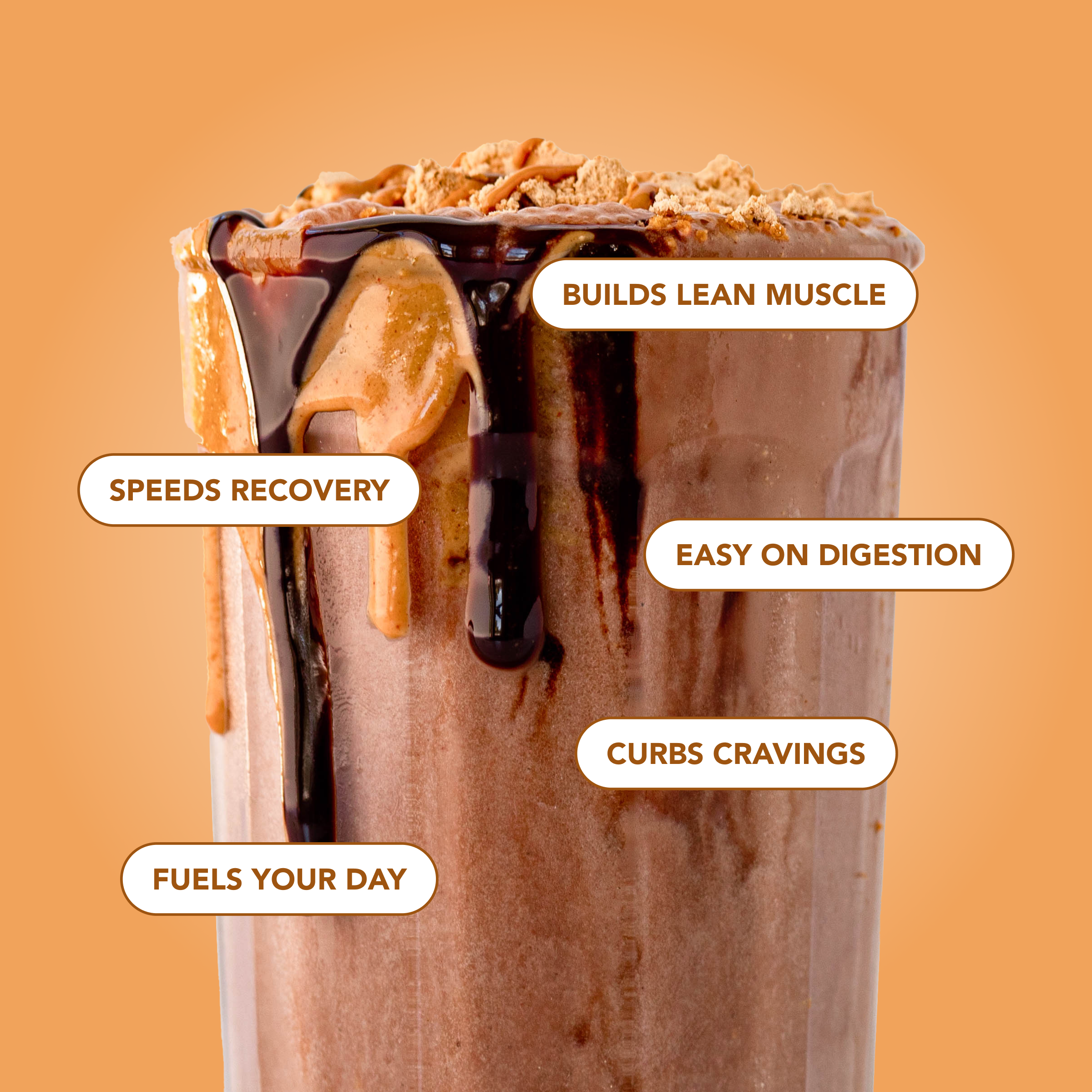 Protein Powder: Chocolate Peanut Butter (Single Serving Stick Pack Sample)