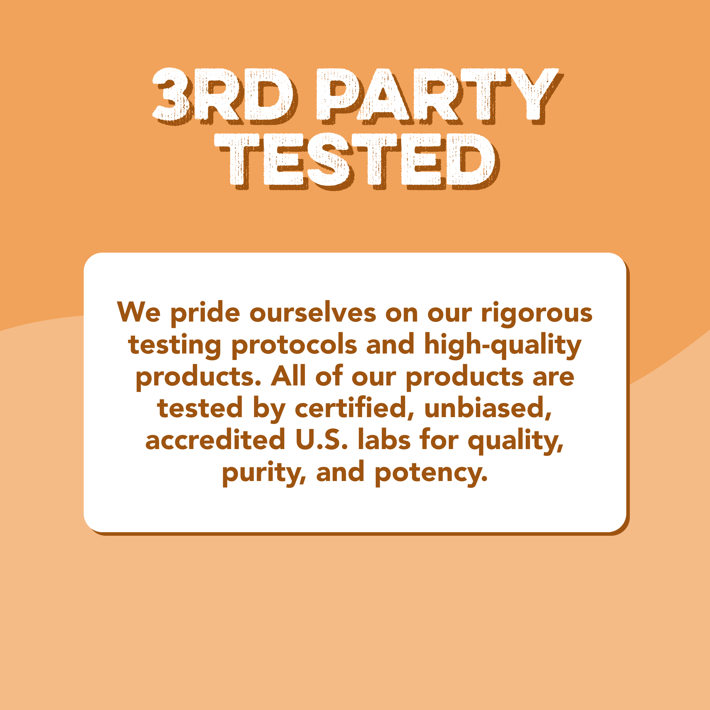Protein Powder: Chocolate Peanut Butter (Single Serving Stick Pack Sample)