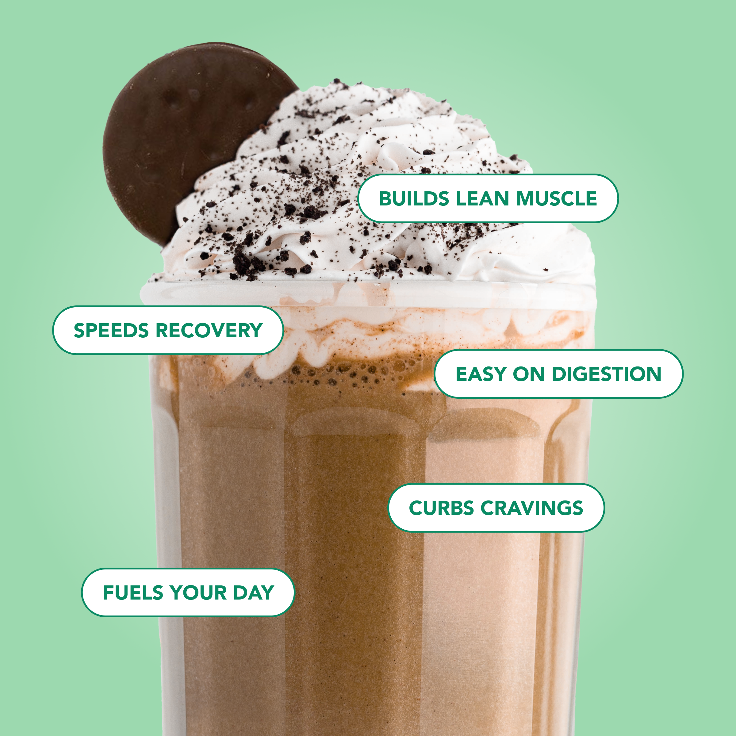 Protein Powder: Mint Chocolate Cookie (Single Serving Stick Pack Sample)