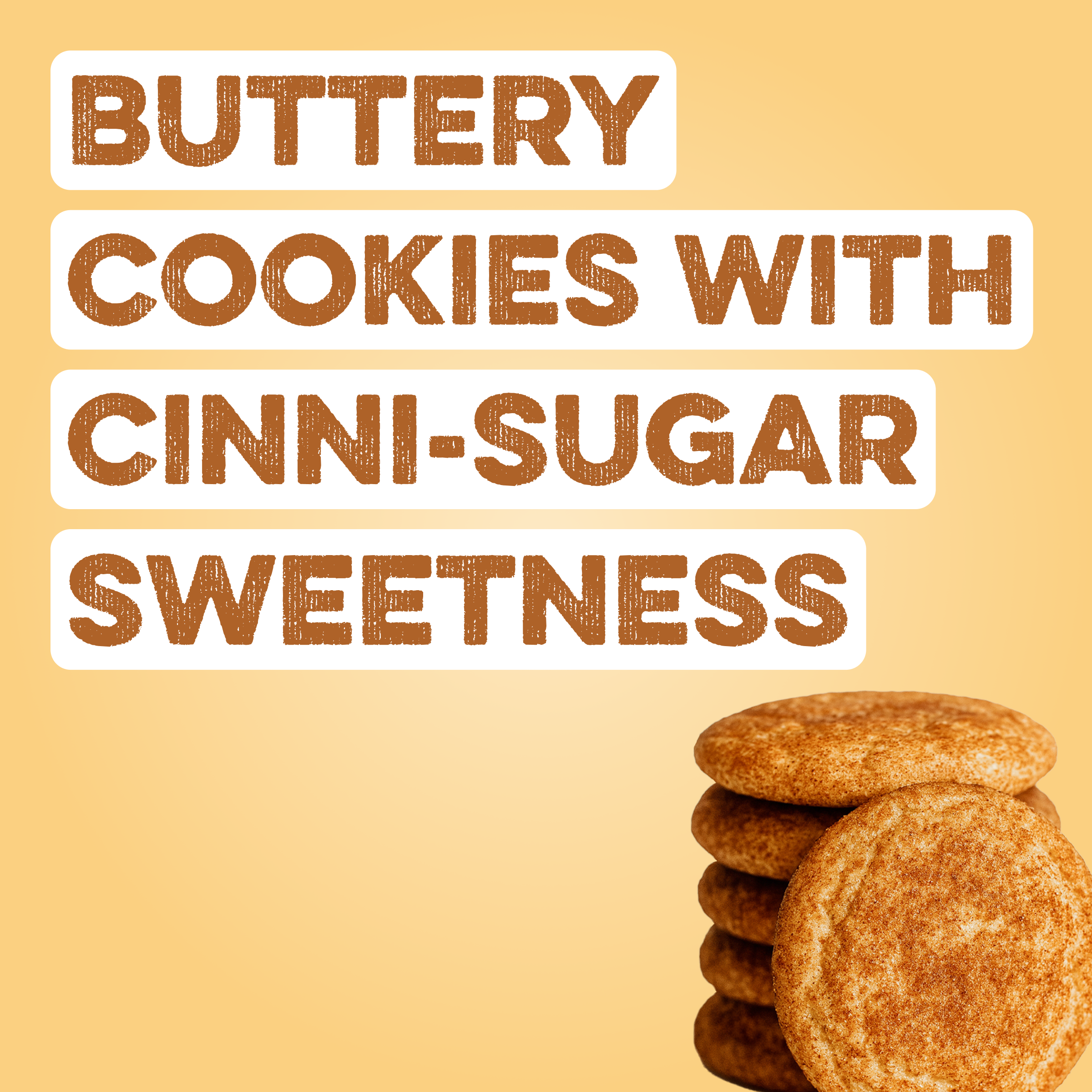Protein Powder: Snickerdoodle (Single Serving Stick Pack Sample)