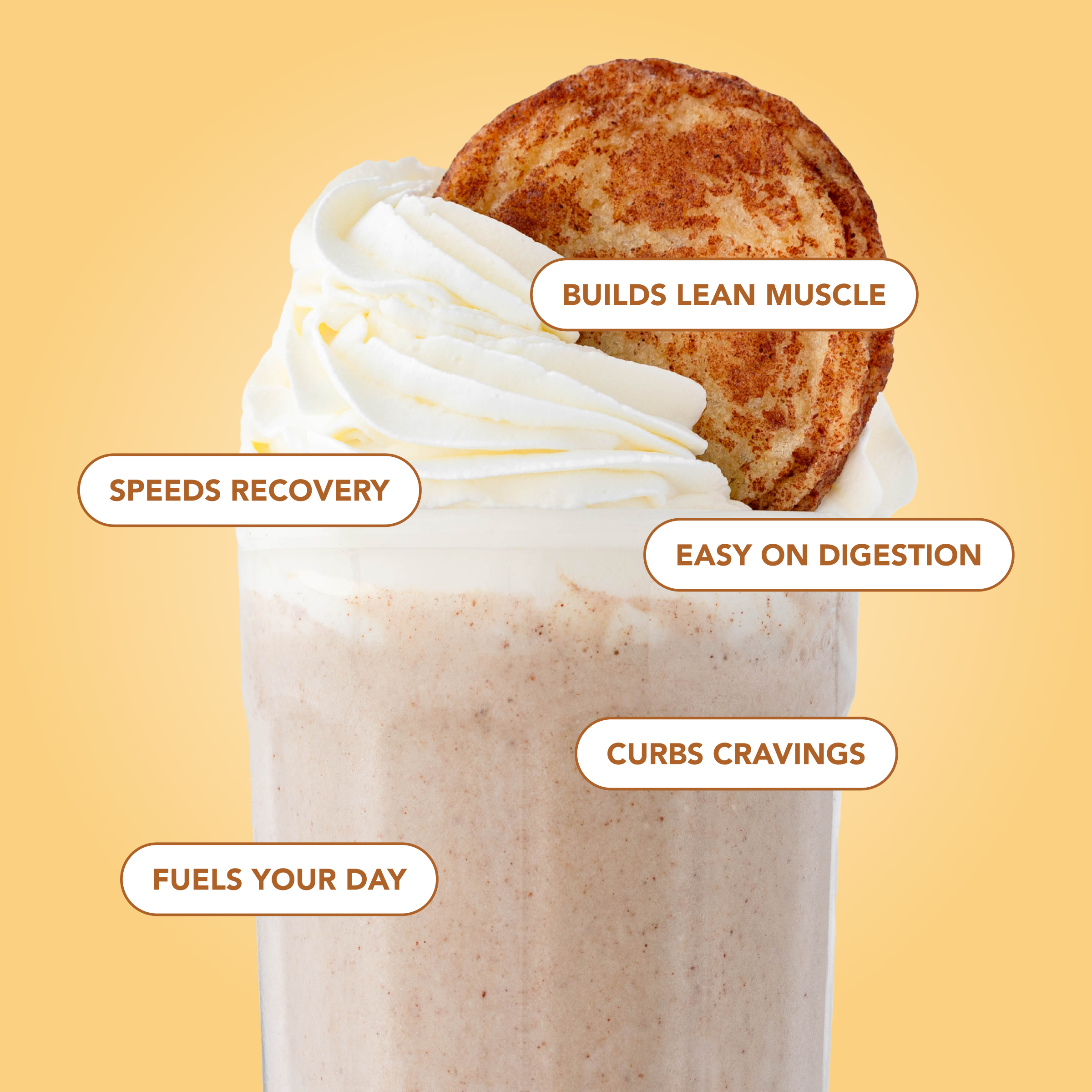 Protein Powder: Snickerdoodle (Single Serving Stick Pack Sample)