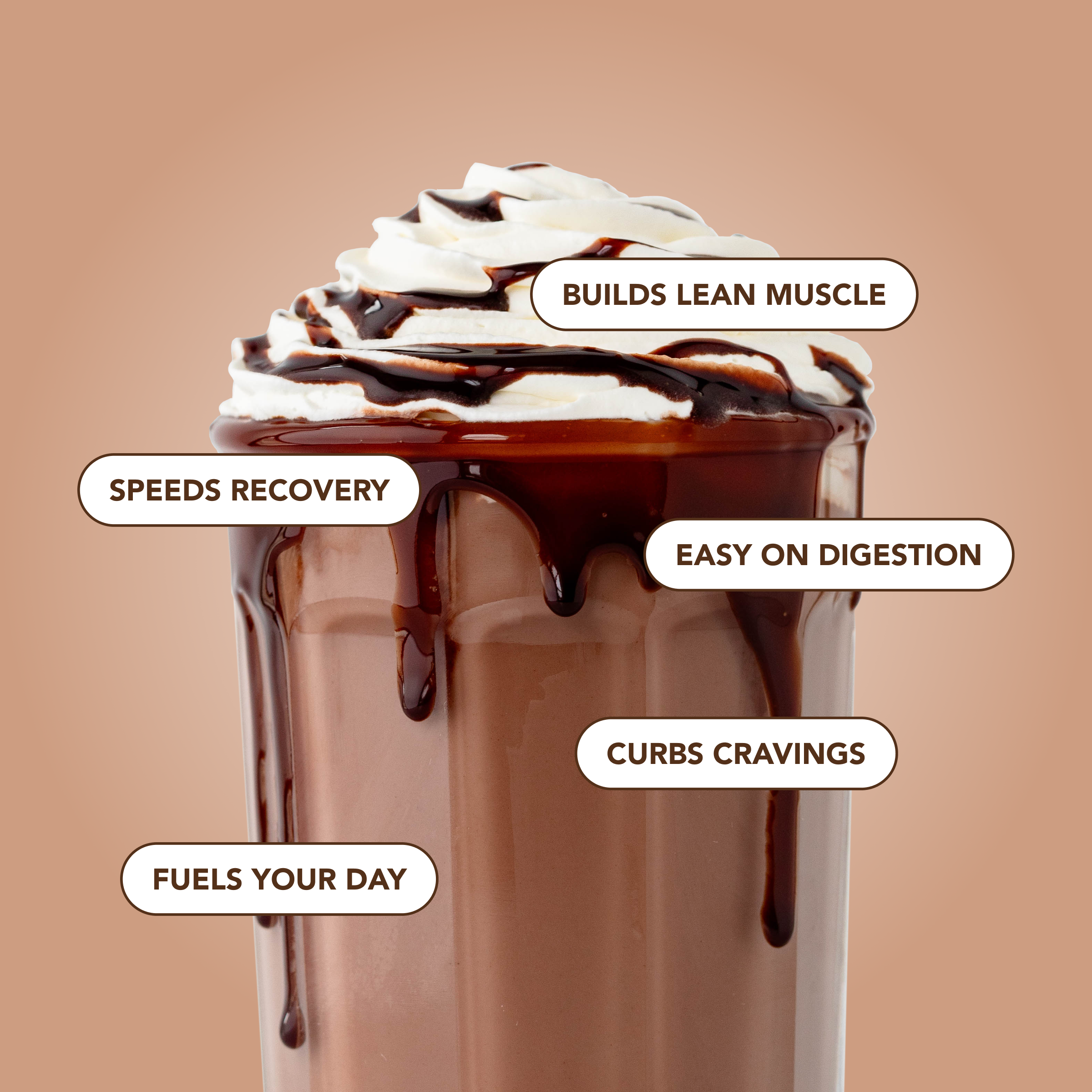 Protein Powder: Brownie Batter (10 Single Serving Stick Packs)