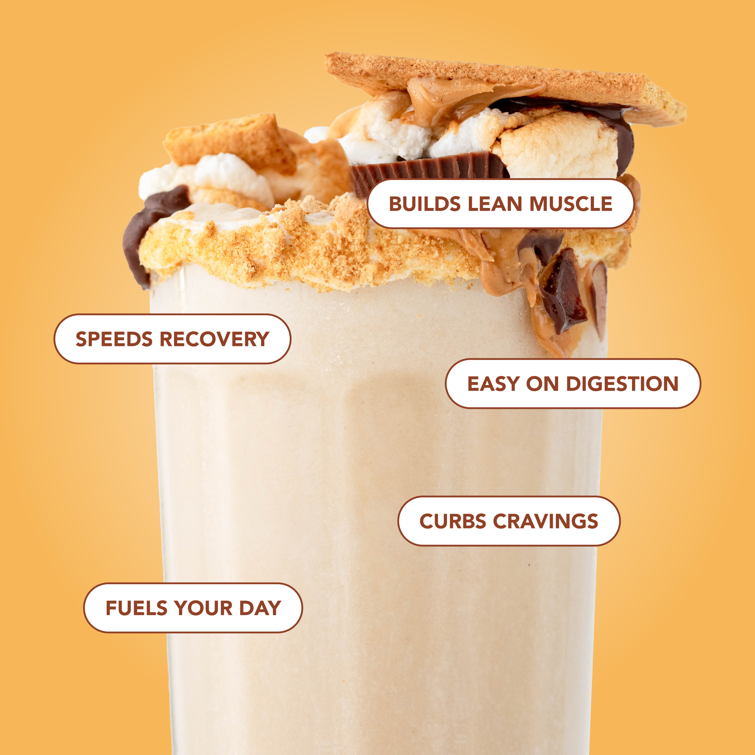 Protein Powder: S'mores (10 Serving Bag)