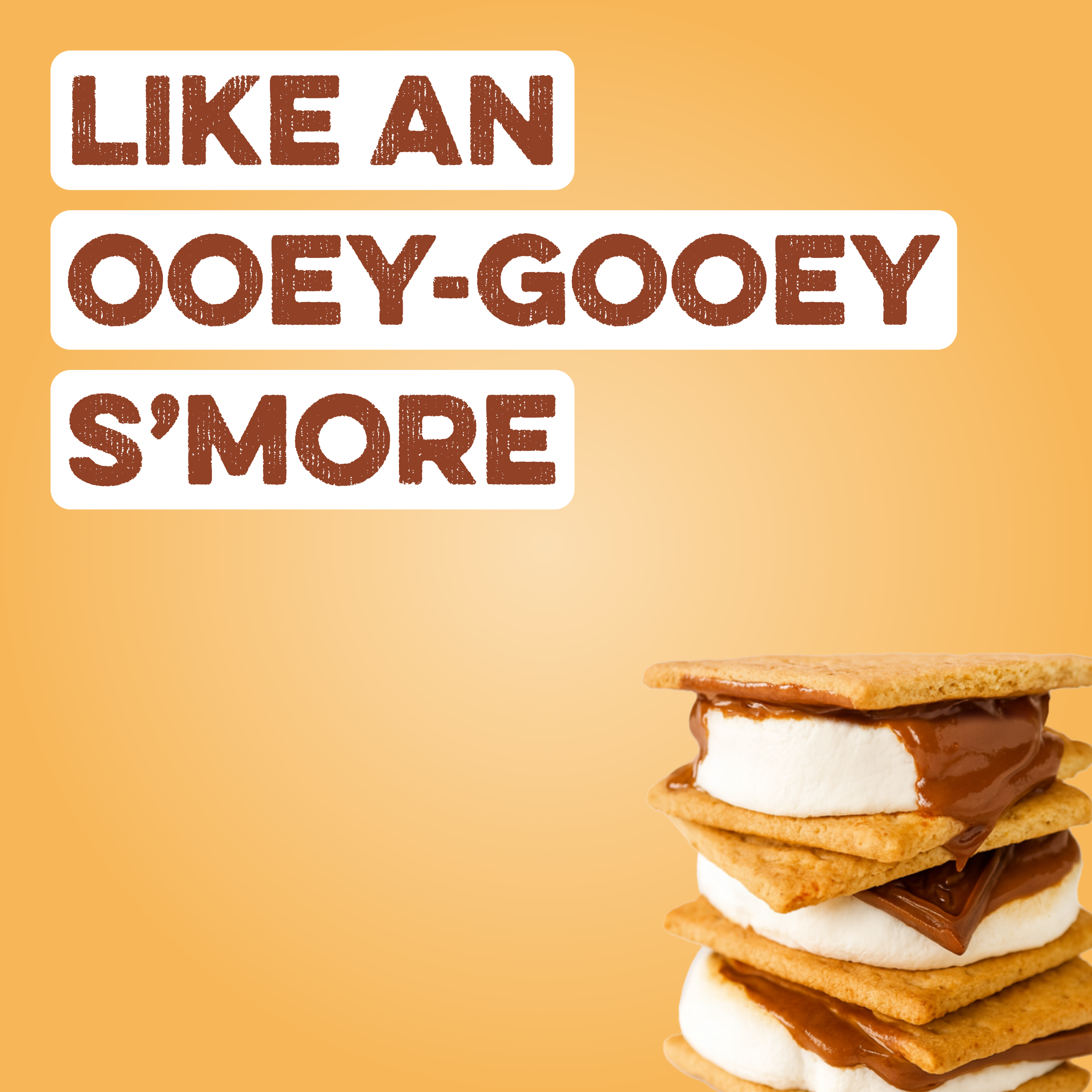 Protein Powder: S'mores (10 Serving Bag)