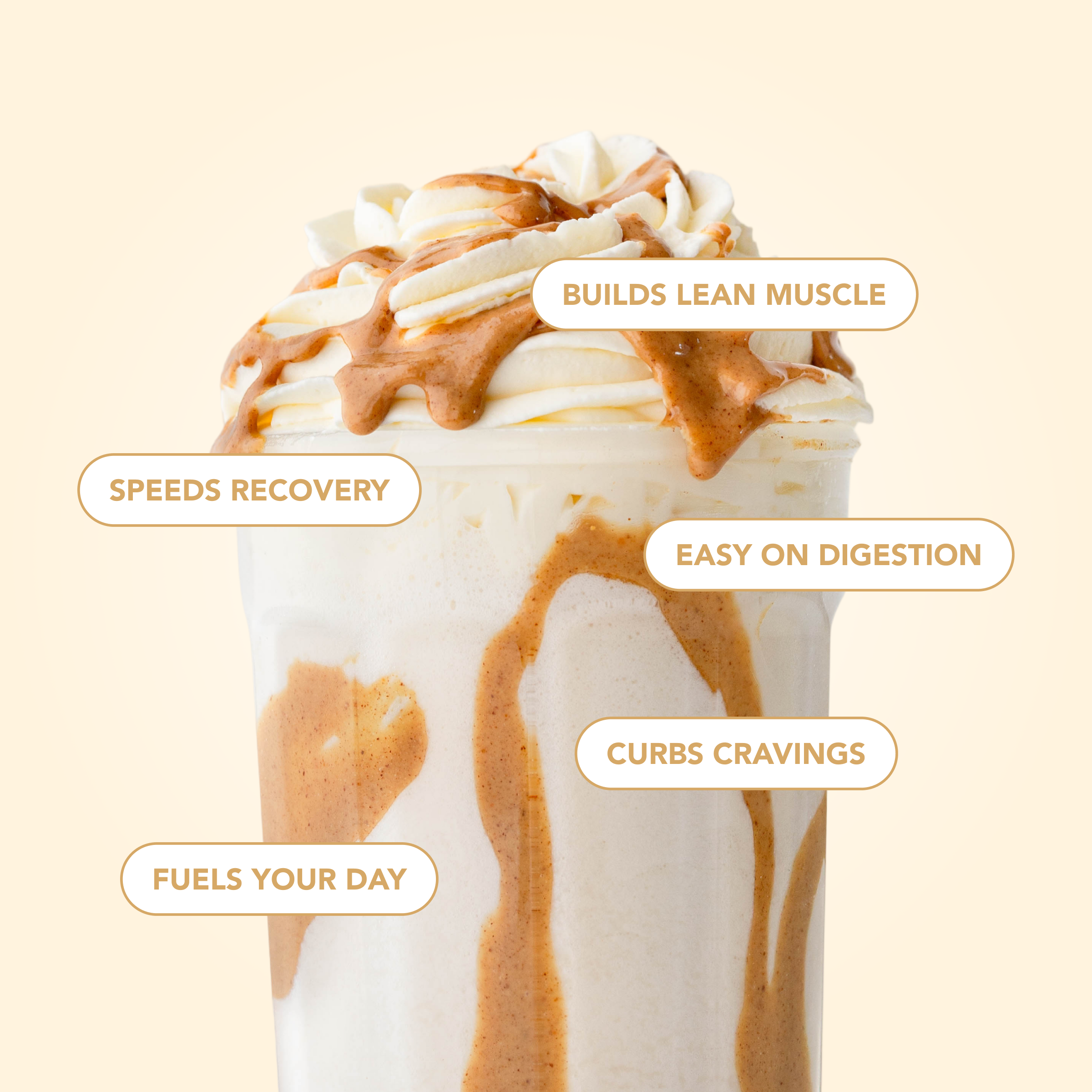 Best-Seller Variety Pack