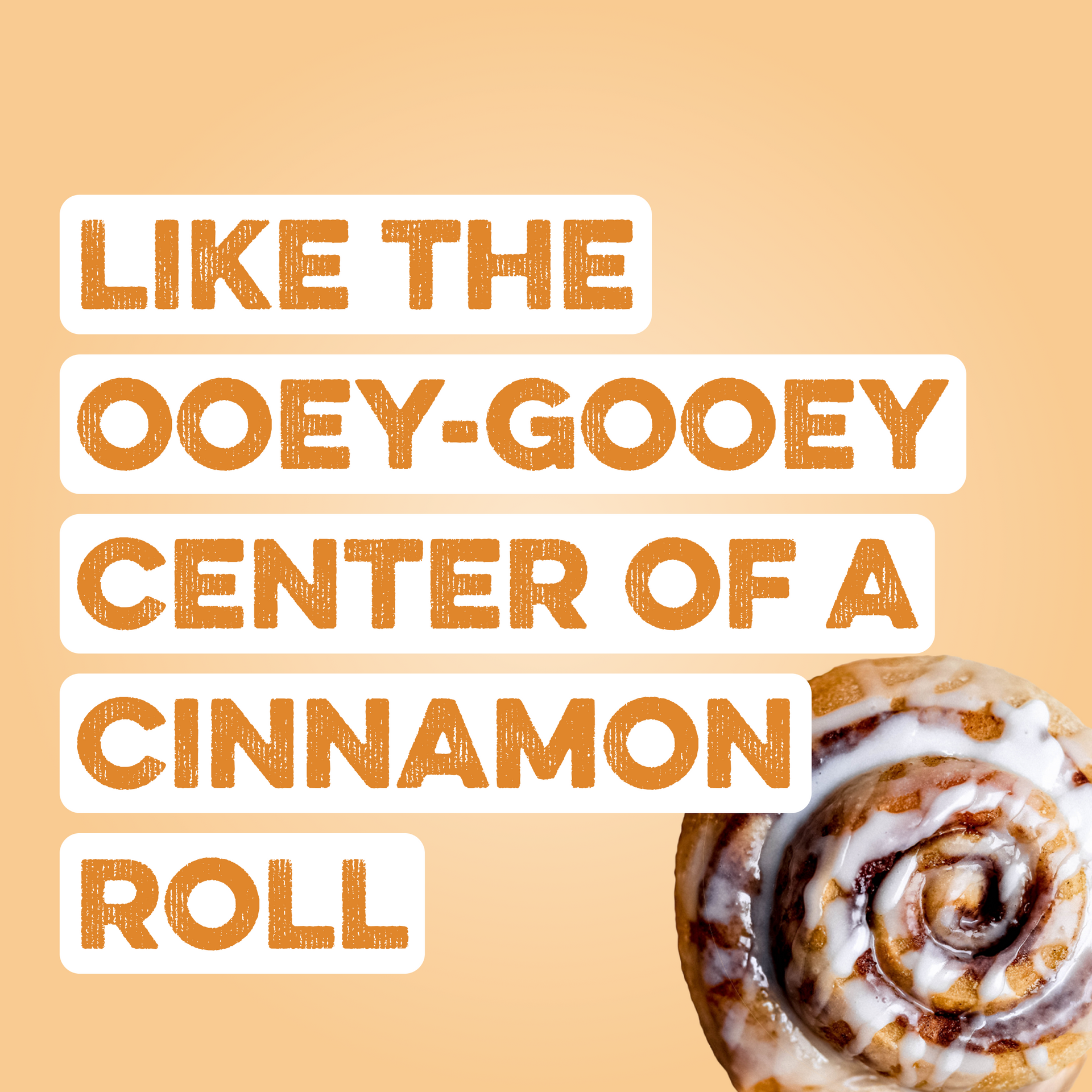 Protein Powder: Cinnamon Roll (12 Serving Bag)