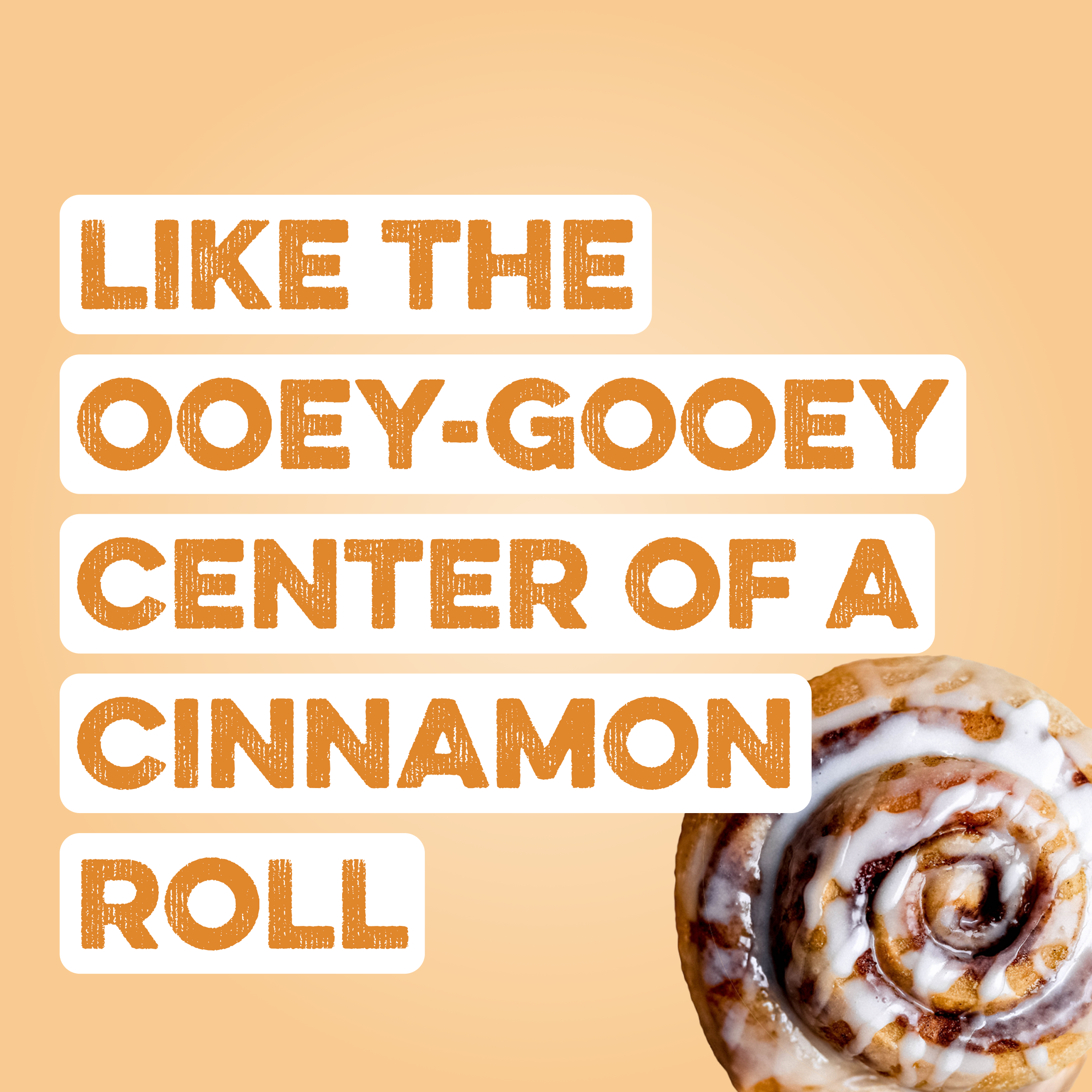 Protein Powder: Cinnamon Roll (12 Serving Bag)