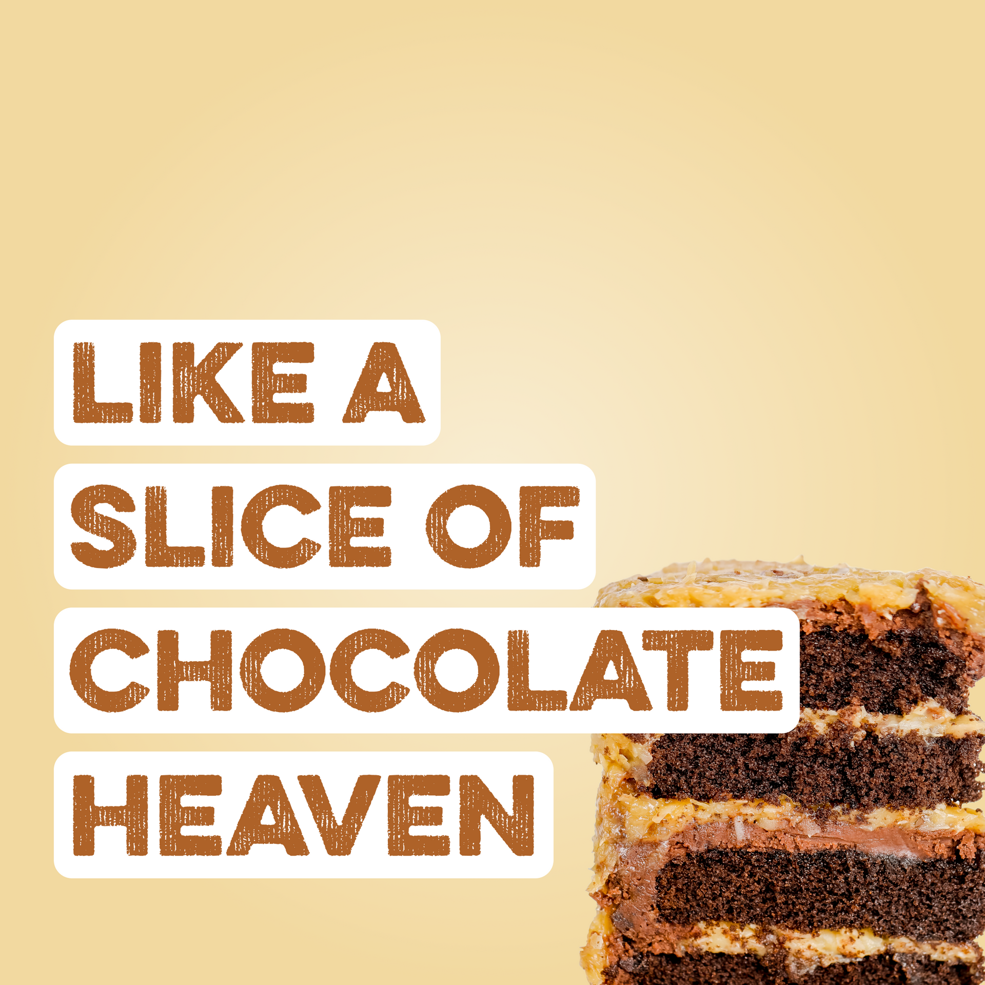 Protein Powder: German Chocolate Cake (12 Serving Bag)