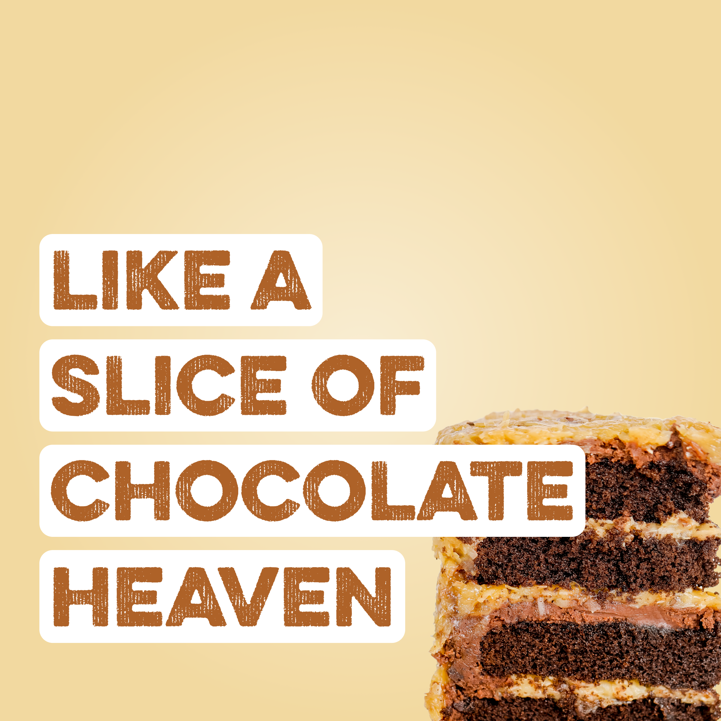 Protein Powder: German Chocolate Cake (12 Serving Bag)