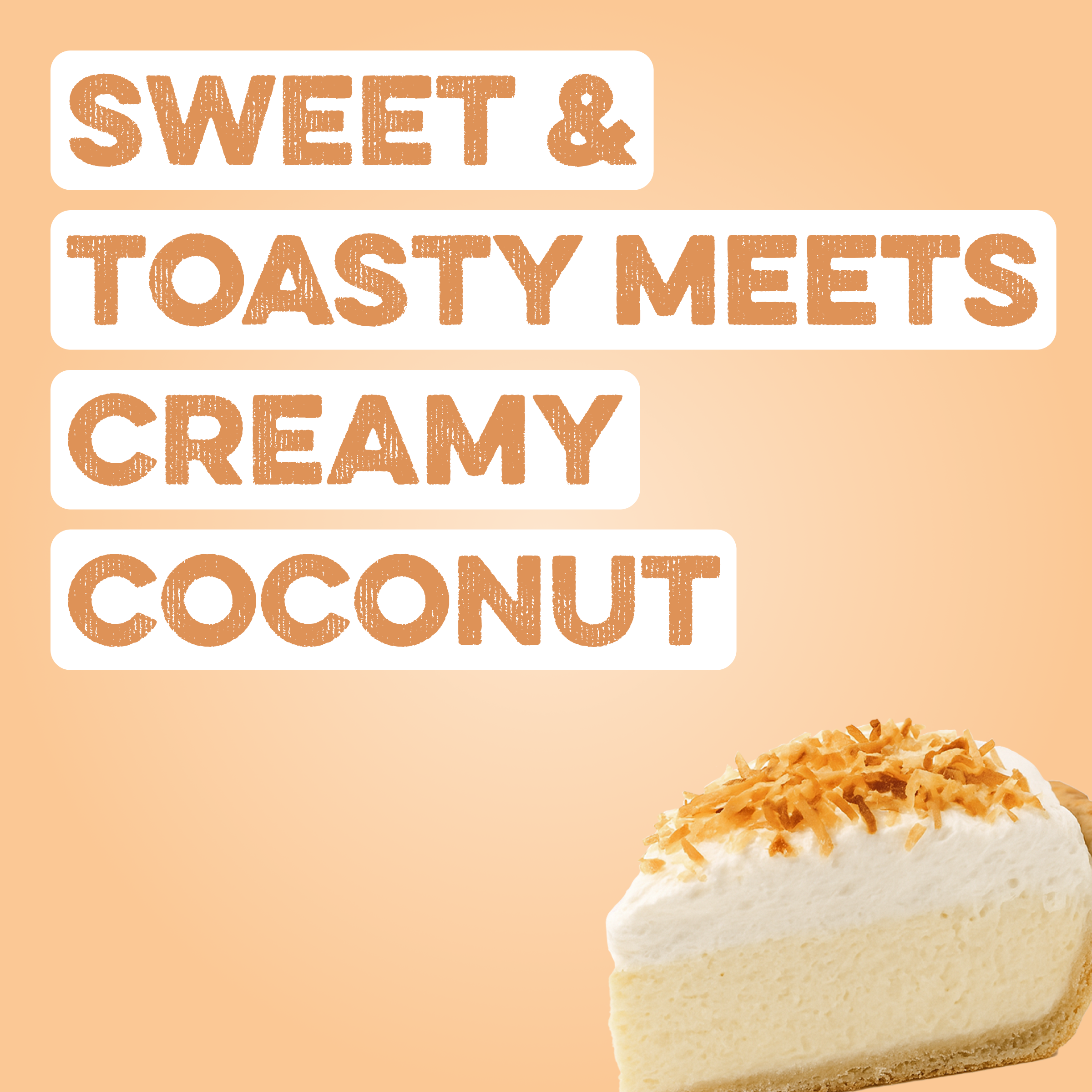 Protein Powder: Coconut Cream (20 Serving Bag)