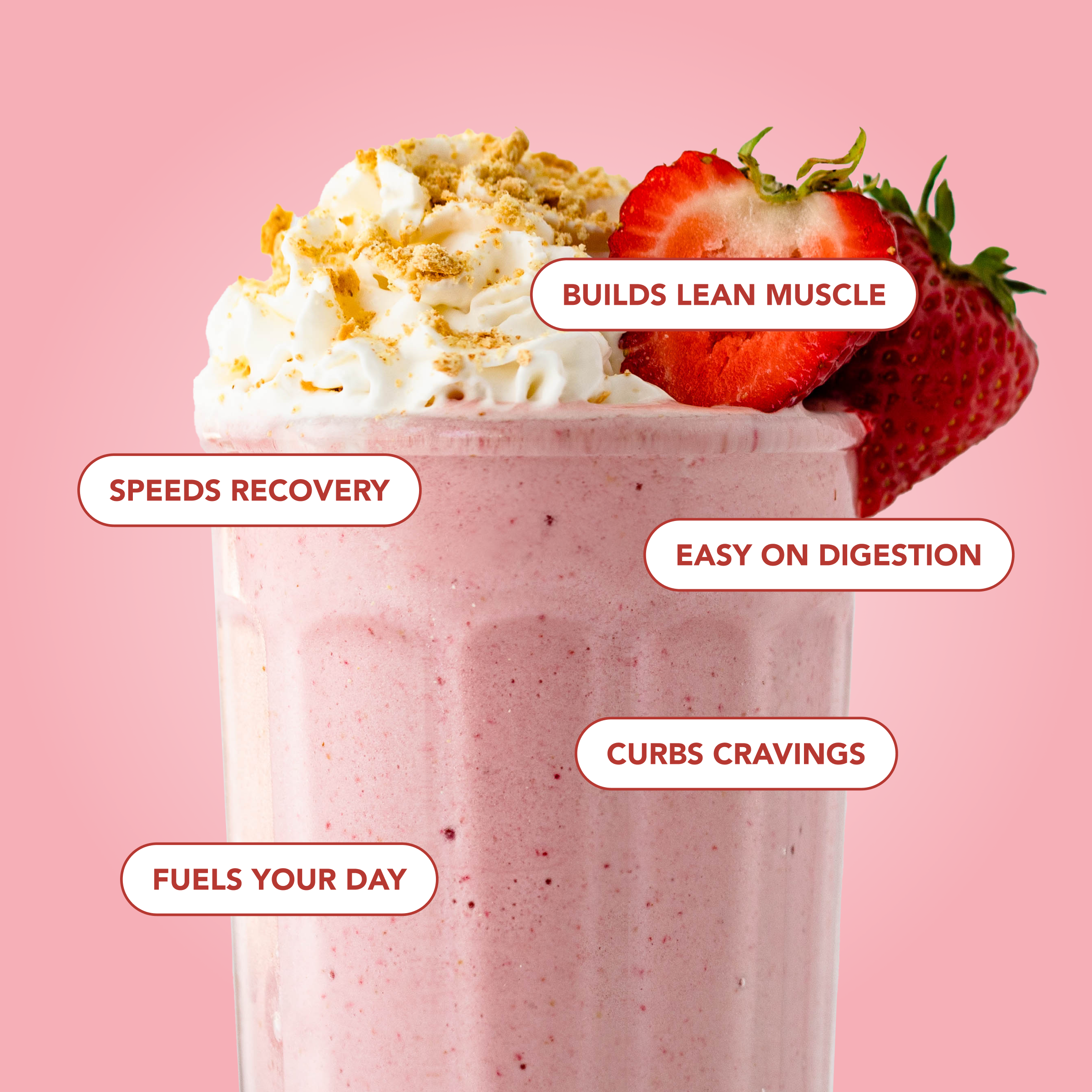 Protein Powder: Strawberry Cheesecake (20 Serving Bag)