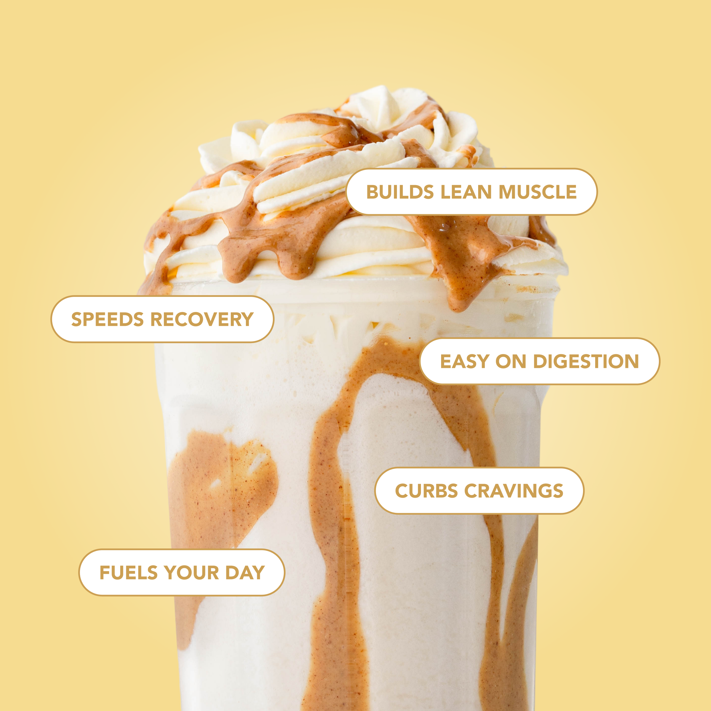 Protein Powder: Simply Vanilla (20 Serving Bag)