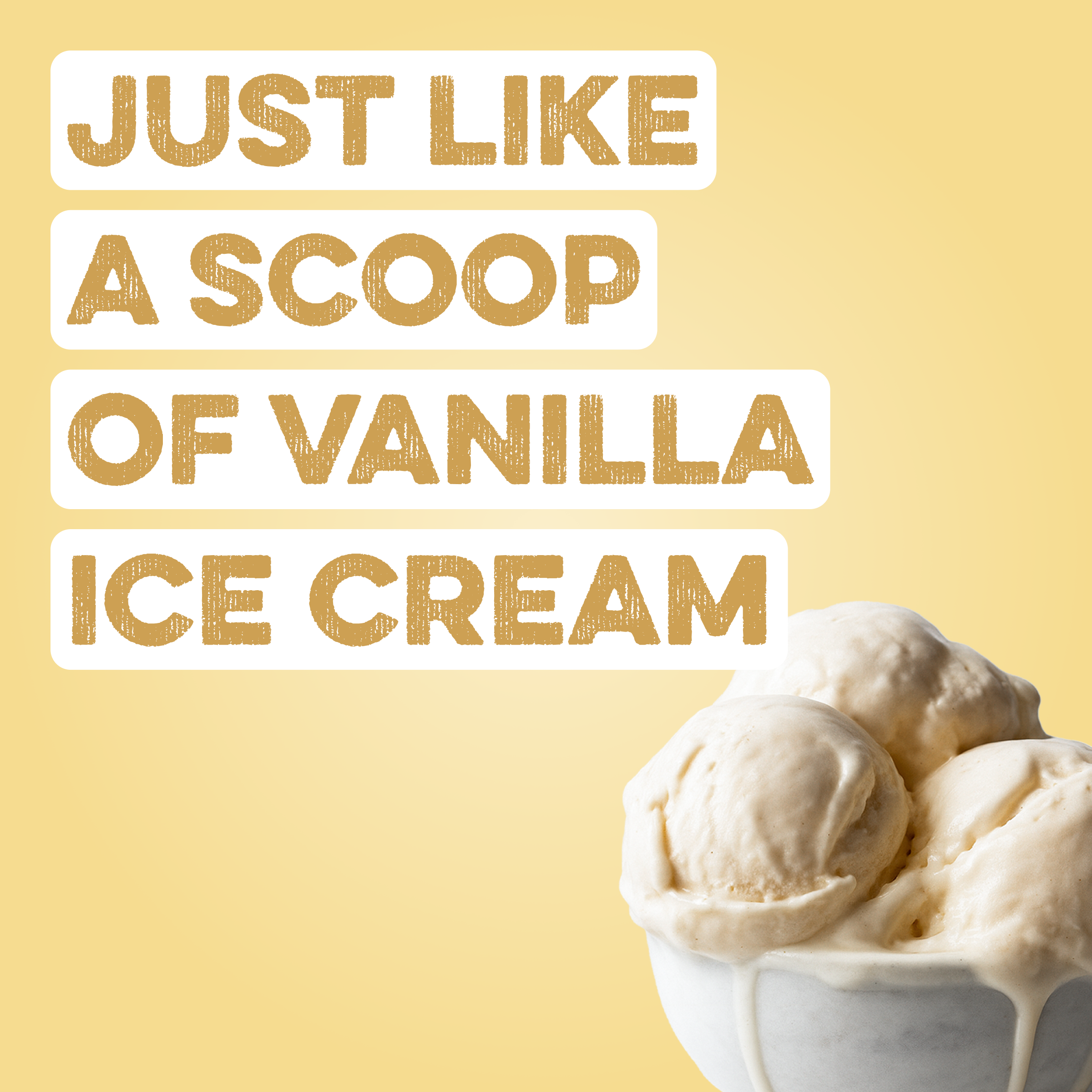 Protein Powder: Simply Vanilla (20 Serving Bag)