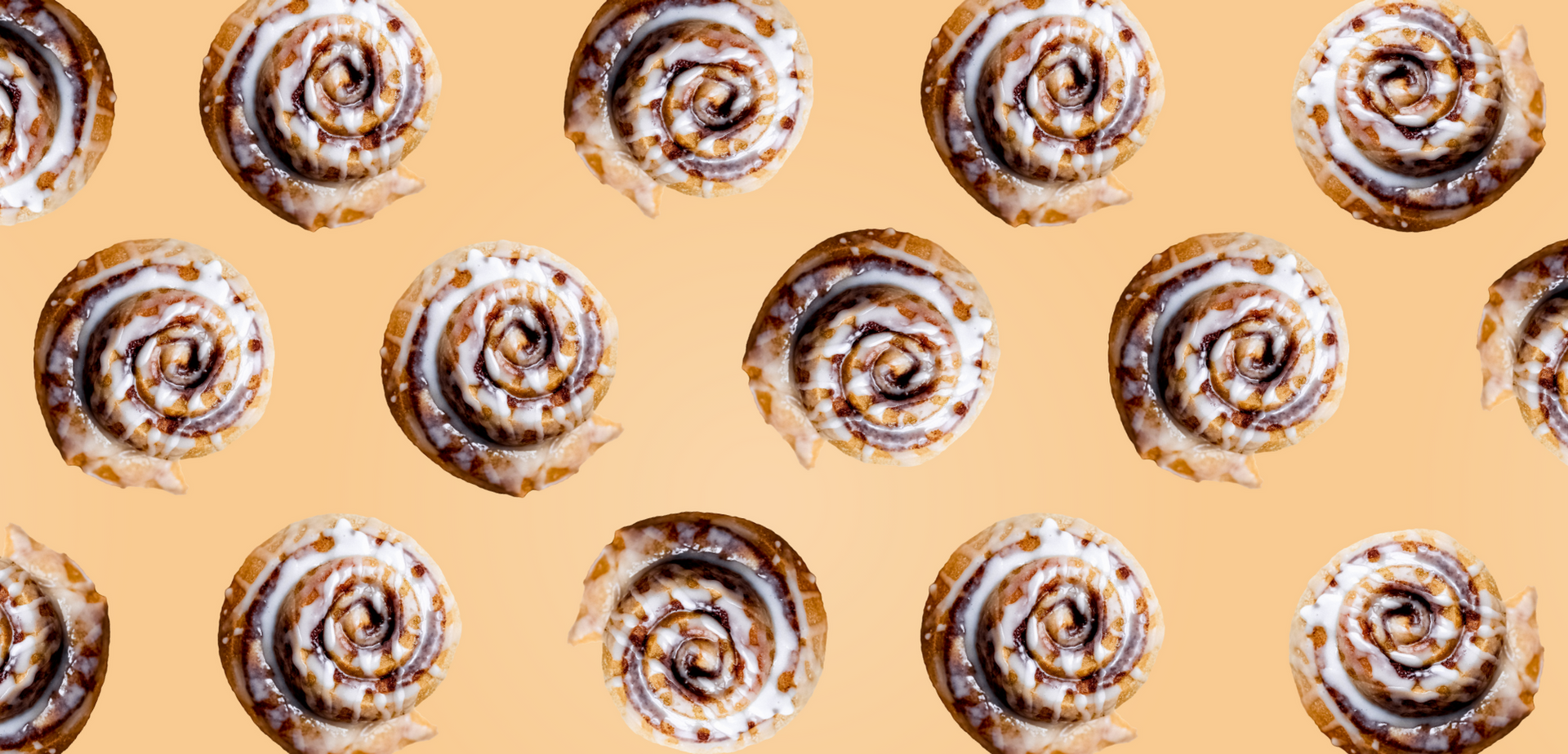 Protein Powder: Cinnamon Roll (30 Serving Bag)