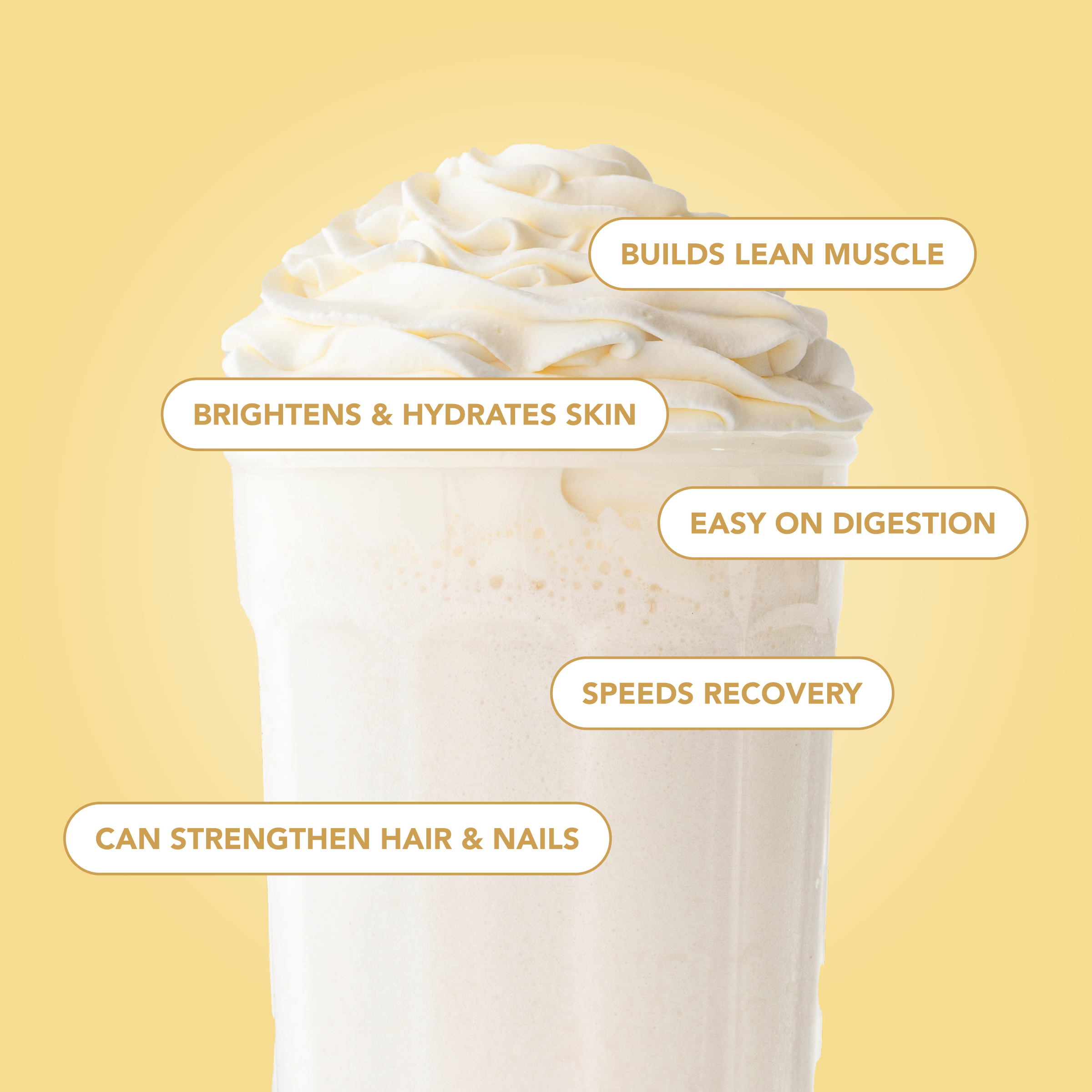 Protein Powder + Collagen: Simply Vanilla (30 Serving Bag)