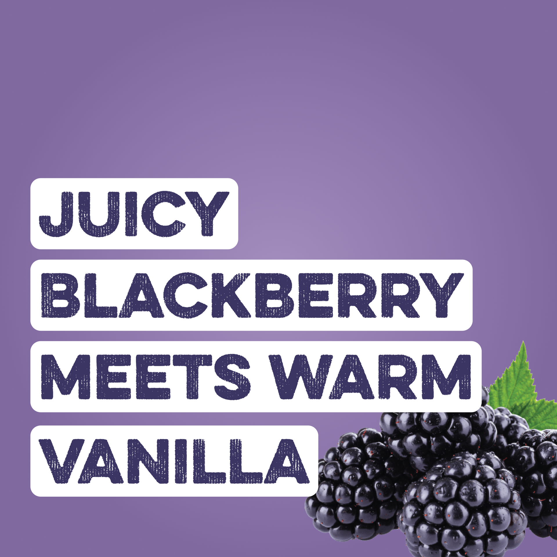Clear Protein Water: Blackberry Vanilla (12 Pack)