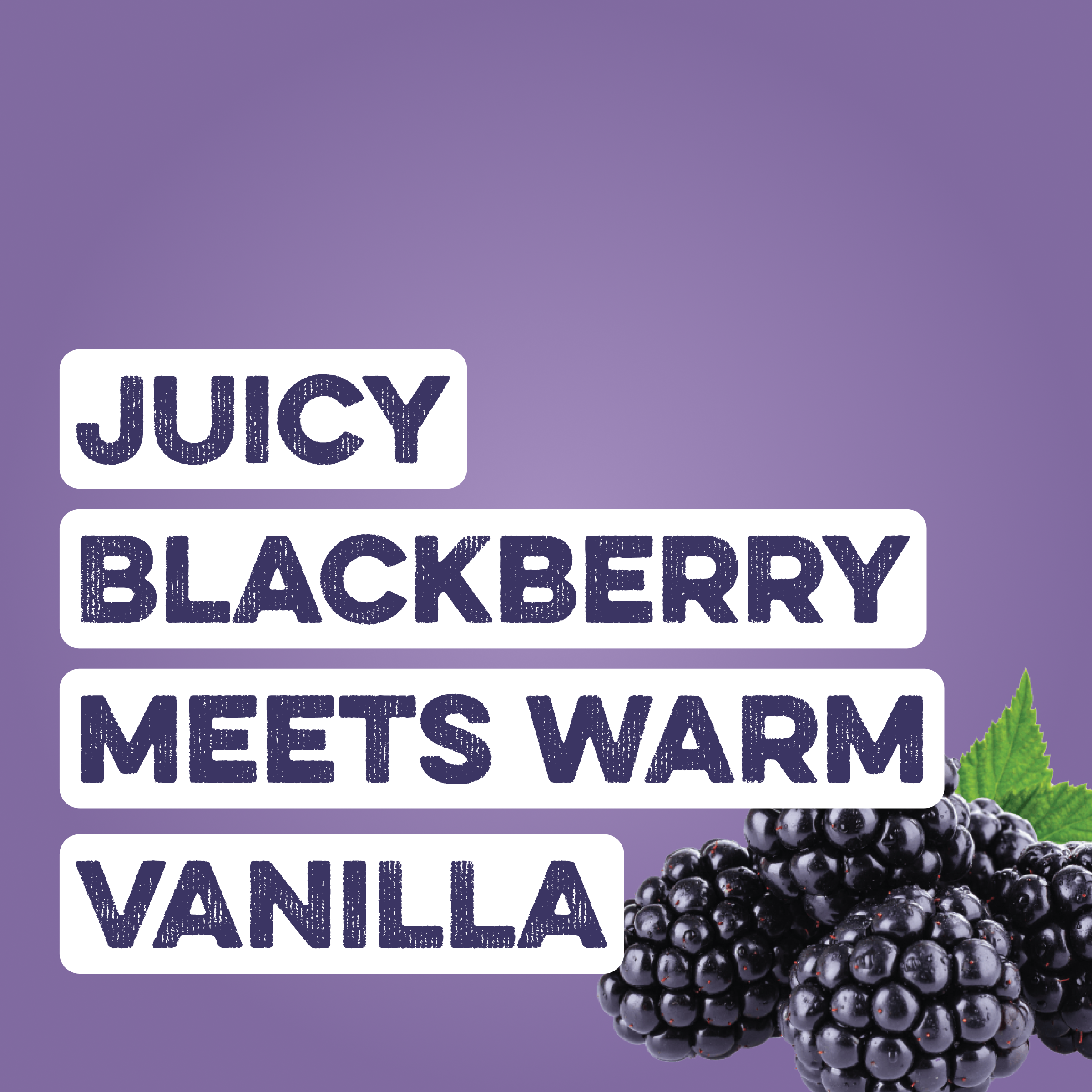 Clear Protein Water: Blackberry Vanilla (12 Pack)