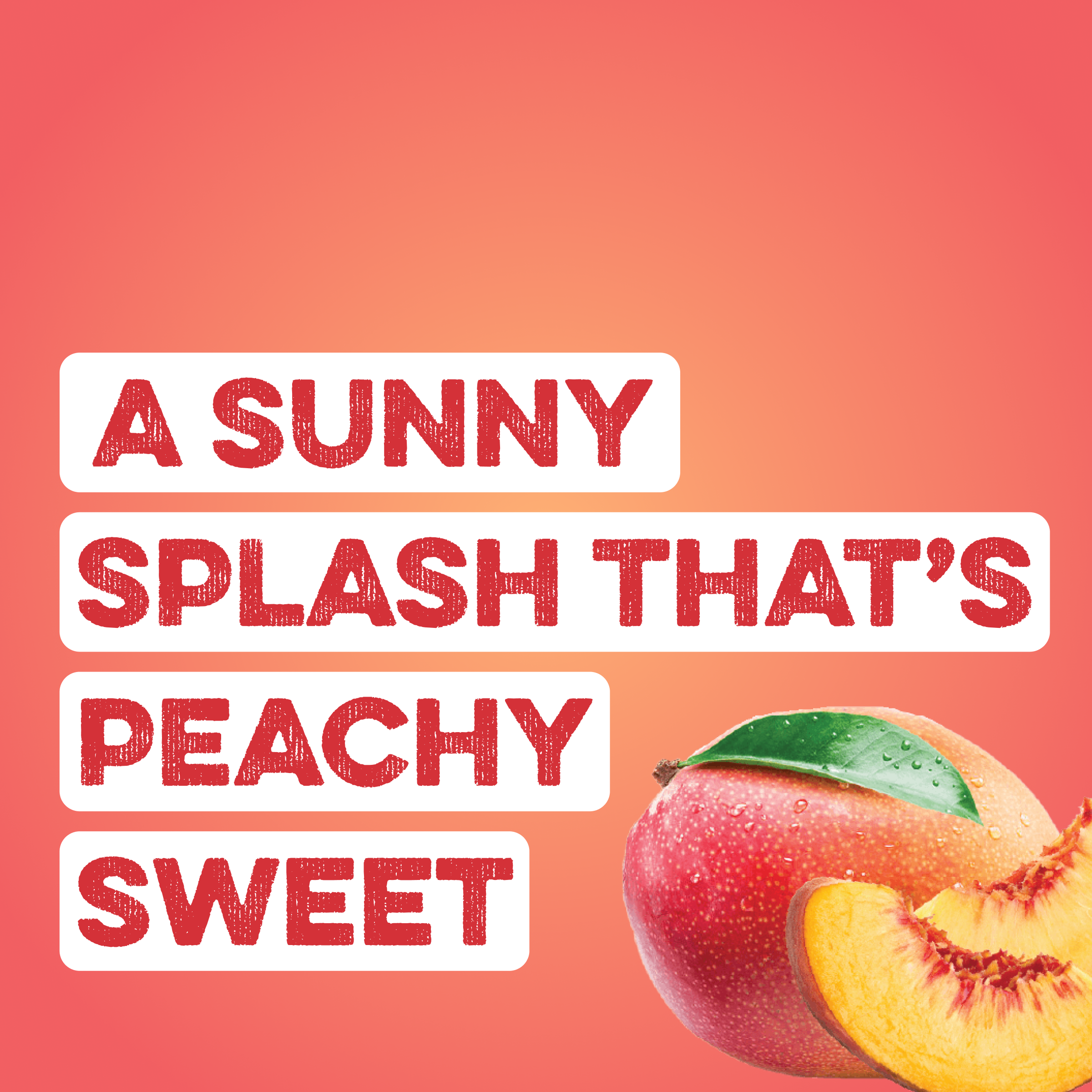 Clear Protein Water: Peach Mango Creme (12 Pack)