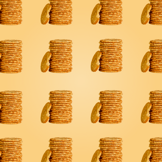 Protein Powder: Snickerdoodle (30 Serving Bag)