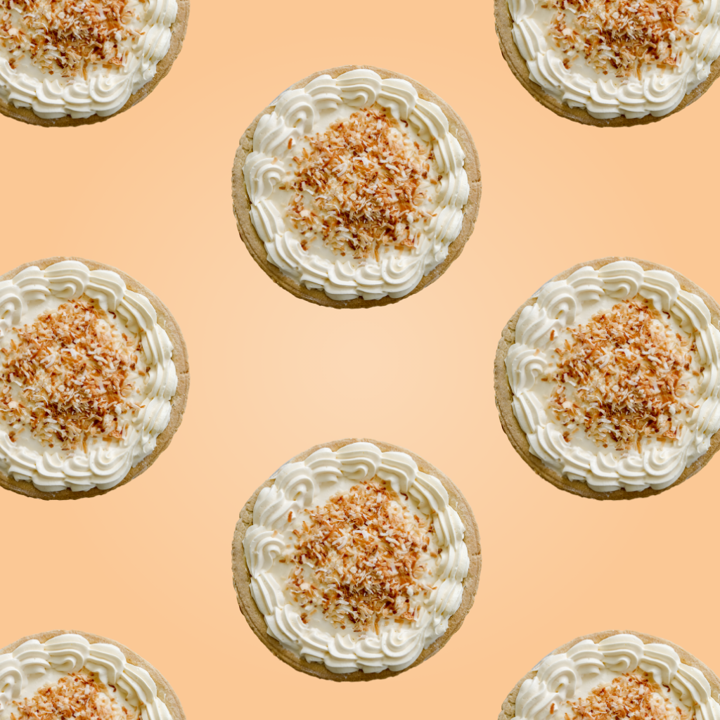 Protein Powder: Coconut Cream (10 Single Serving Stick Packs)