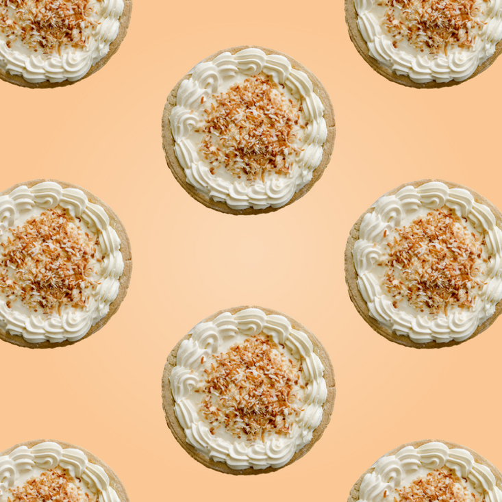 Protein Powder: Coconut Cream (10 Single Serving Stick Packs)