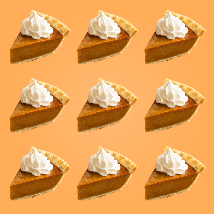 Protein Powder: Pumpkin Pie (10 Single Serving Stick Packs)