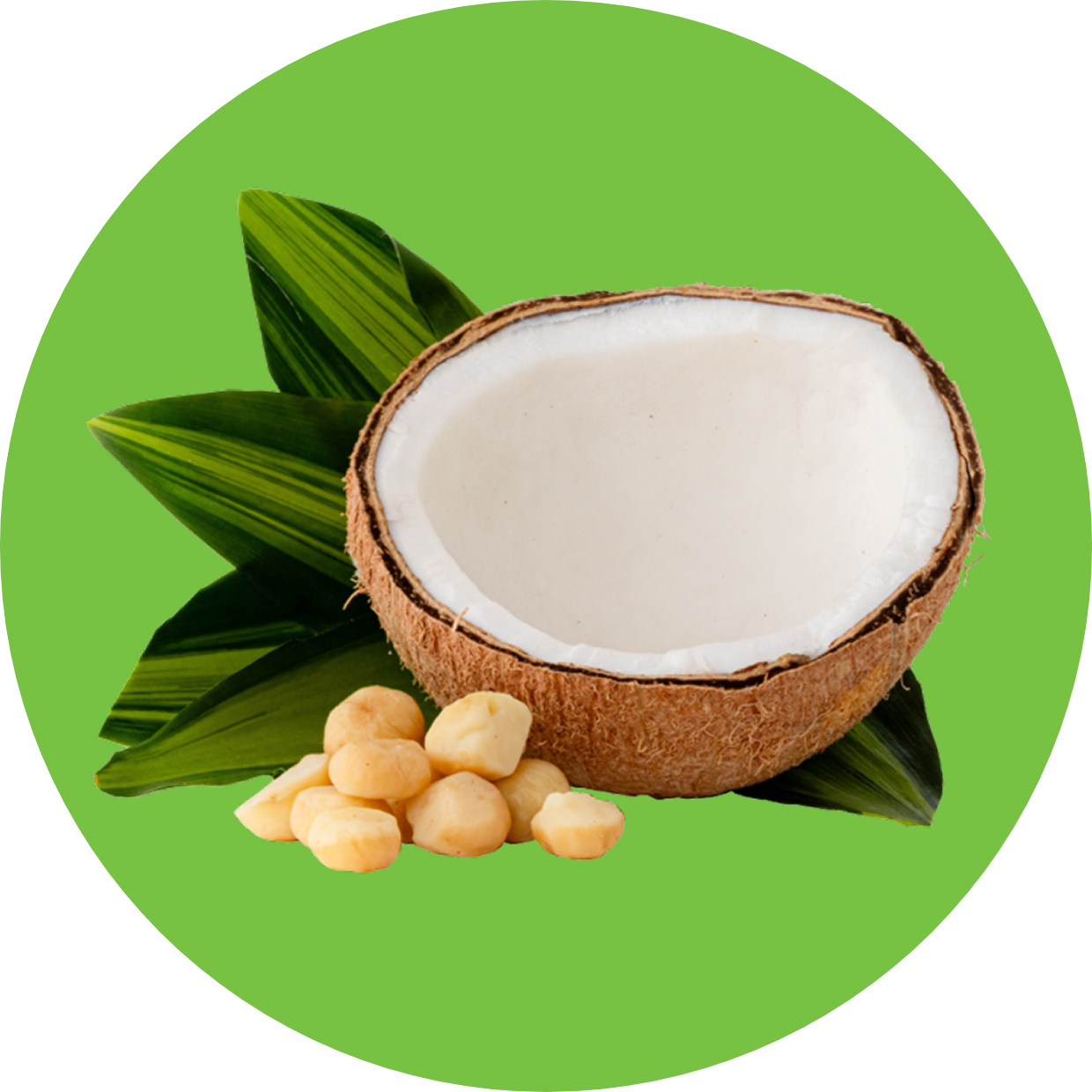 Aloha Nut Butter (28 ounce)