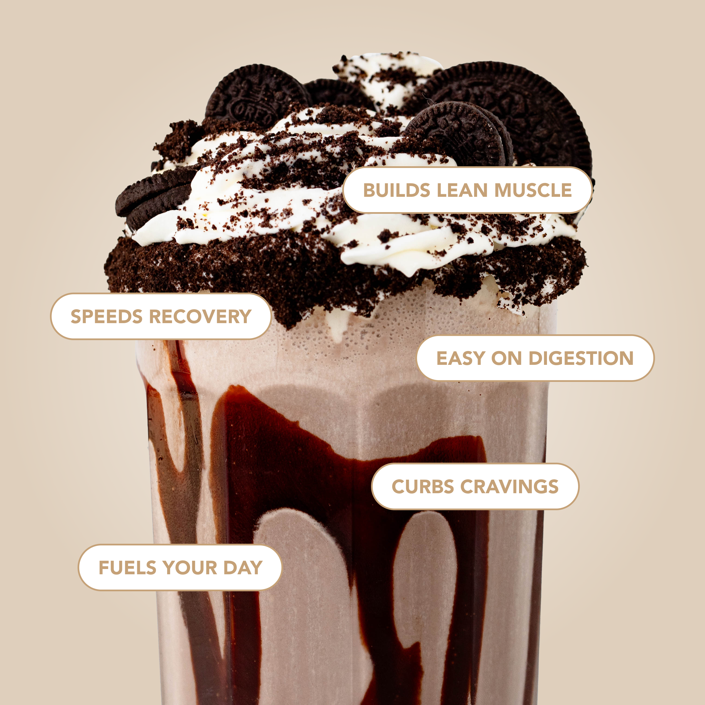 Build Your Own Protein Powder 6-Pack