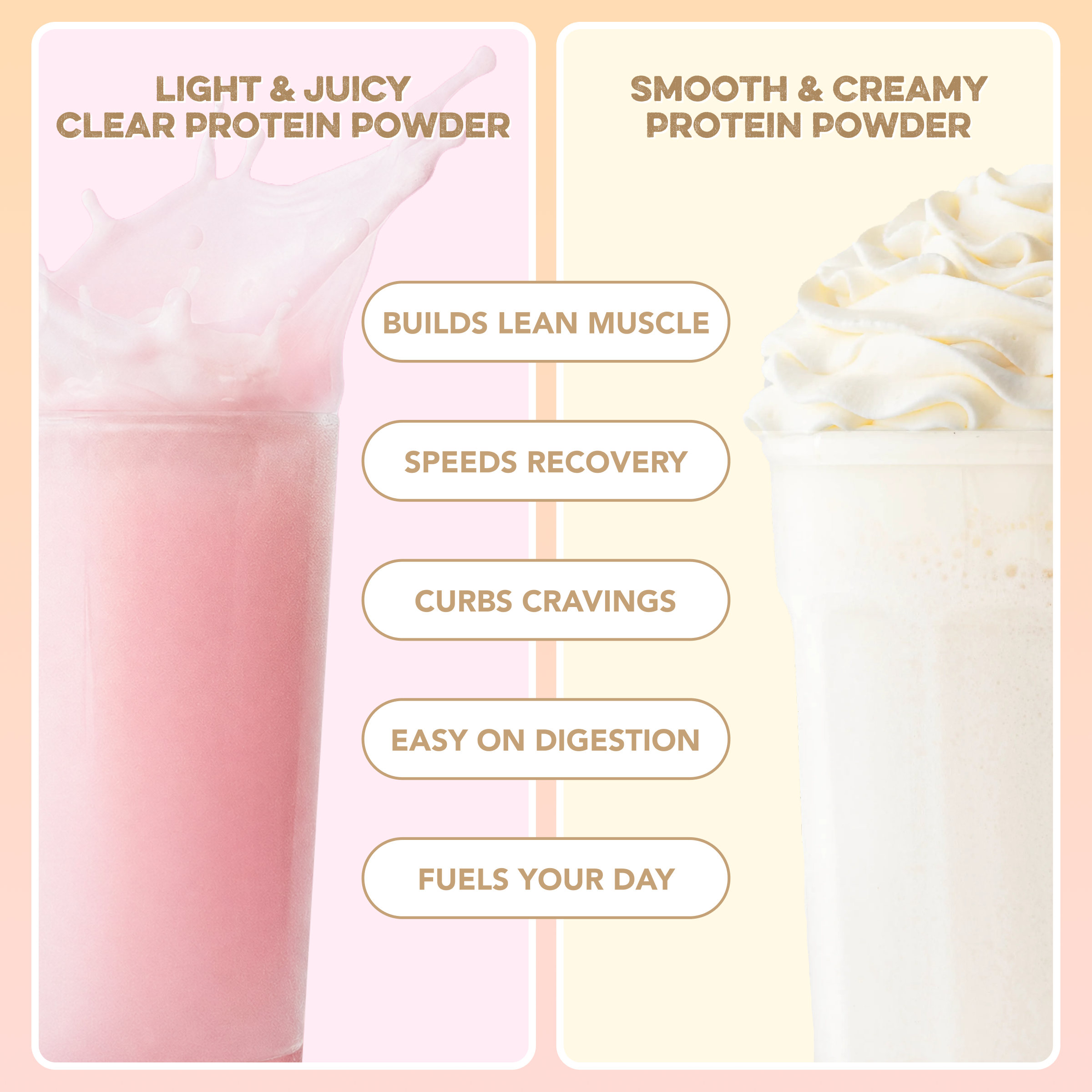 Build Your Own Protein Powder Variety Pack
