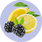 Collagen + Beauty Blend: Blackberry Lemonade (30 Serving)