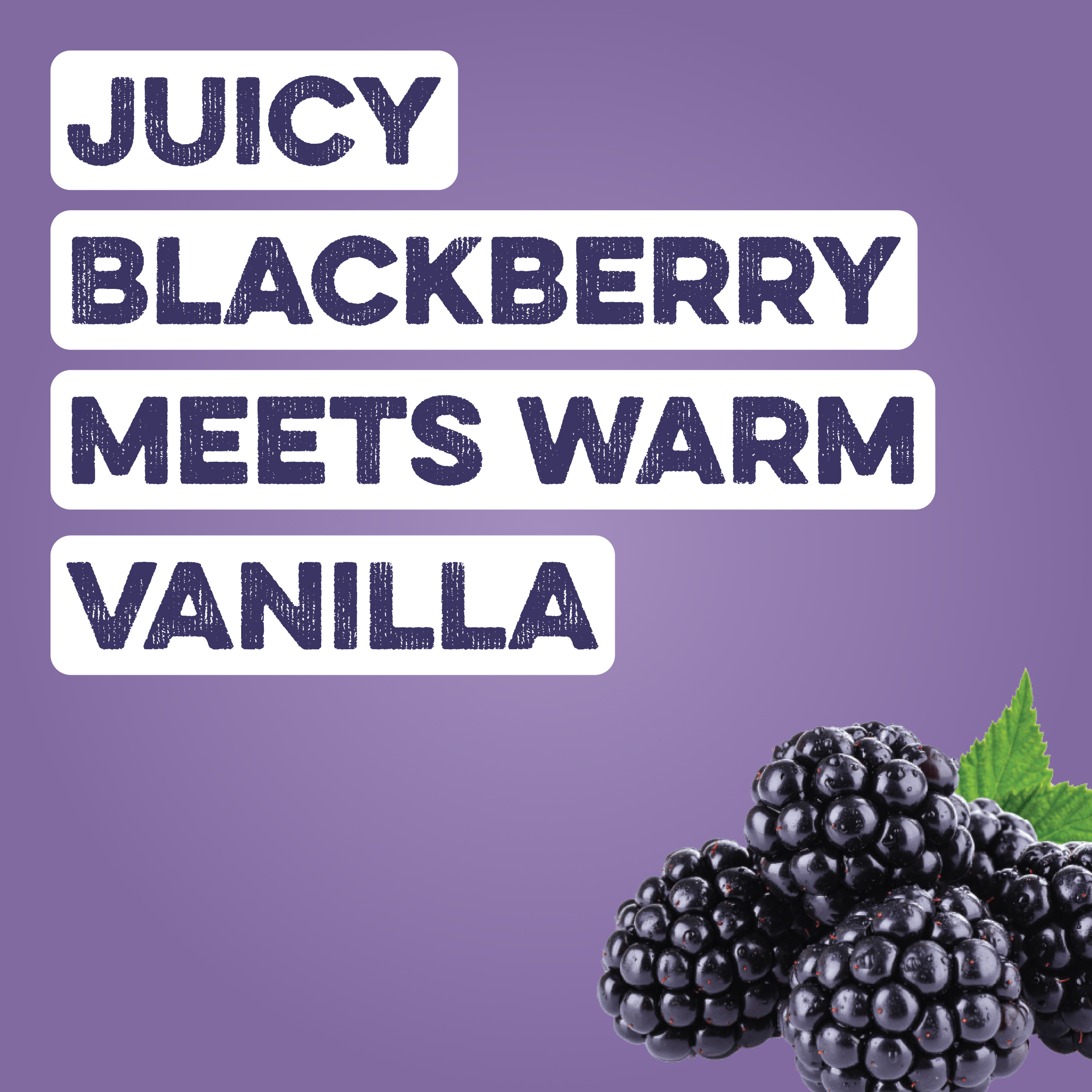warm family glp-1 six in one reviews Clear Protein Water: Blackberry Vanilla (12 Oz