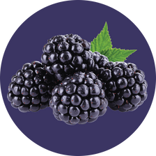 Clear Protein Water: Blackberry Vanilla (12 Pack)