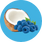 Clear Protein Powder: Blue Bahama (20 Serving)