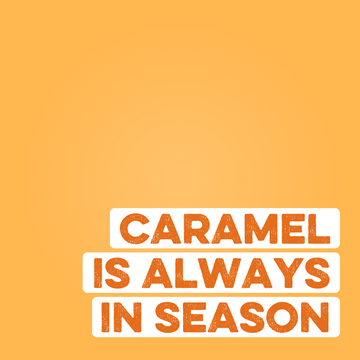 Protein Powder: Caramel Toffee (30 Serving Bag)