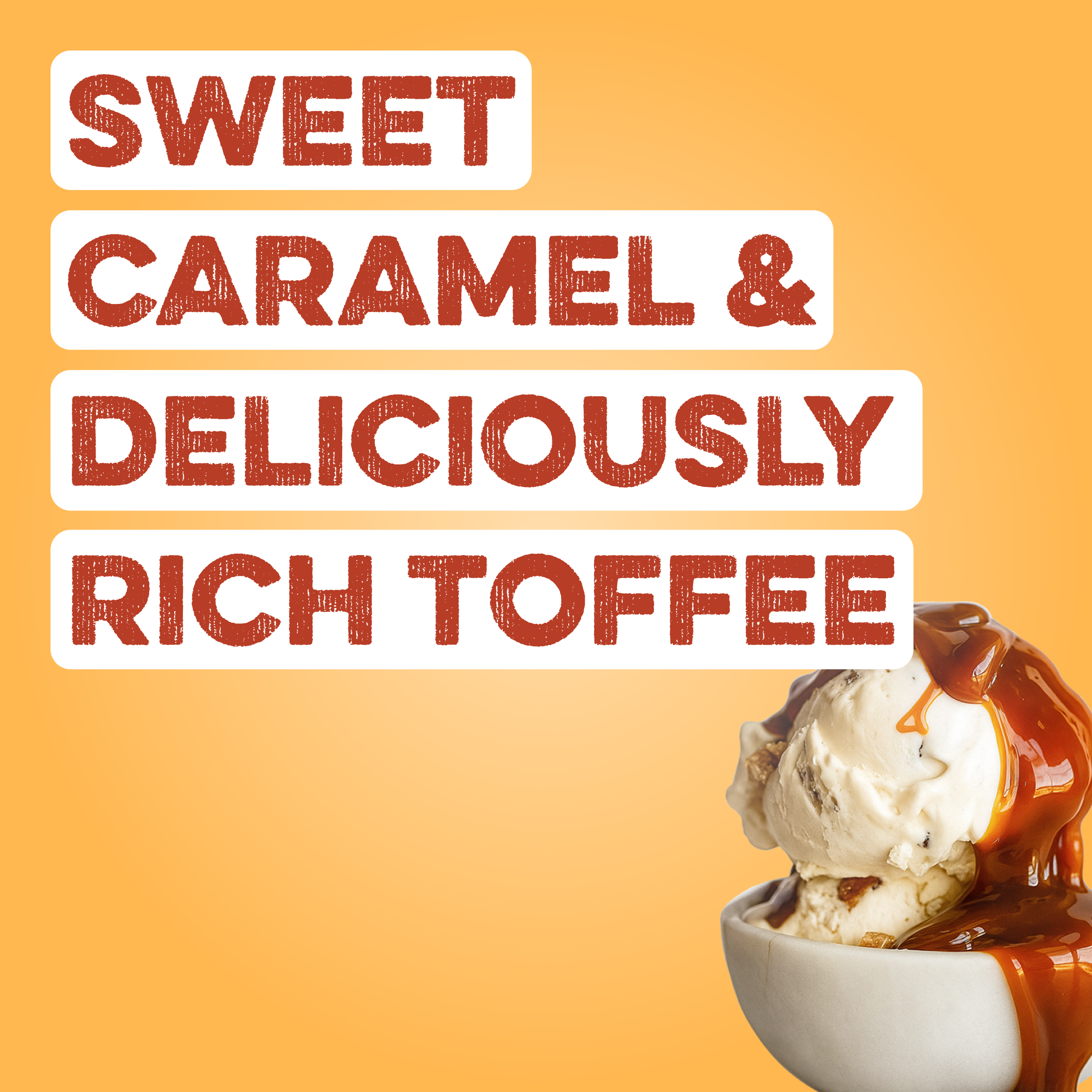 Protein Powder: Caramel Toffee (10 Single Serving Stick Packs)
