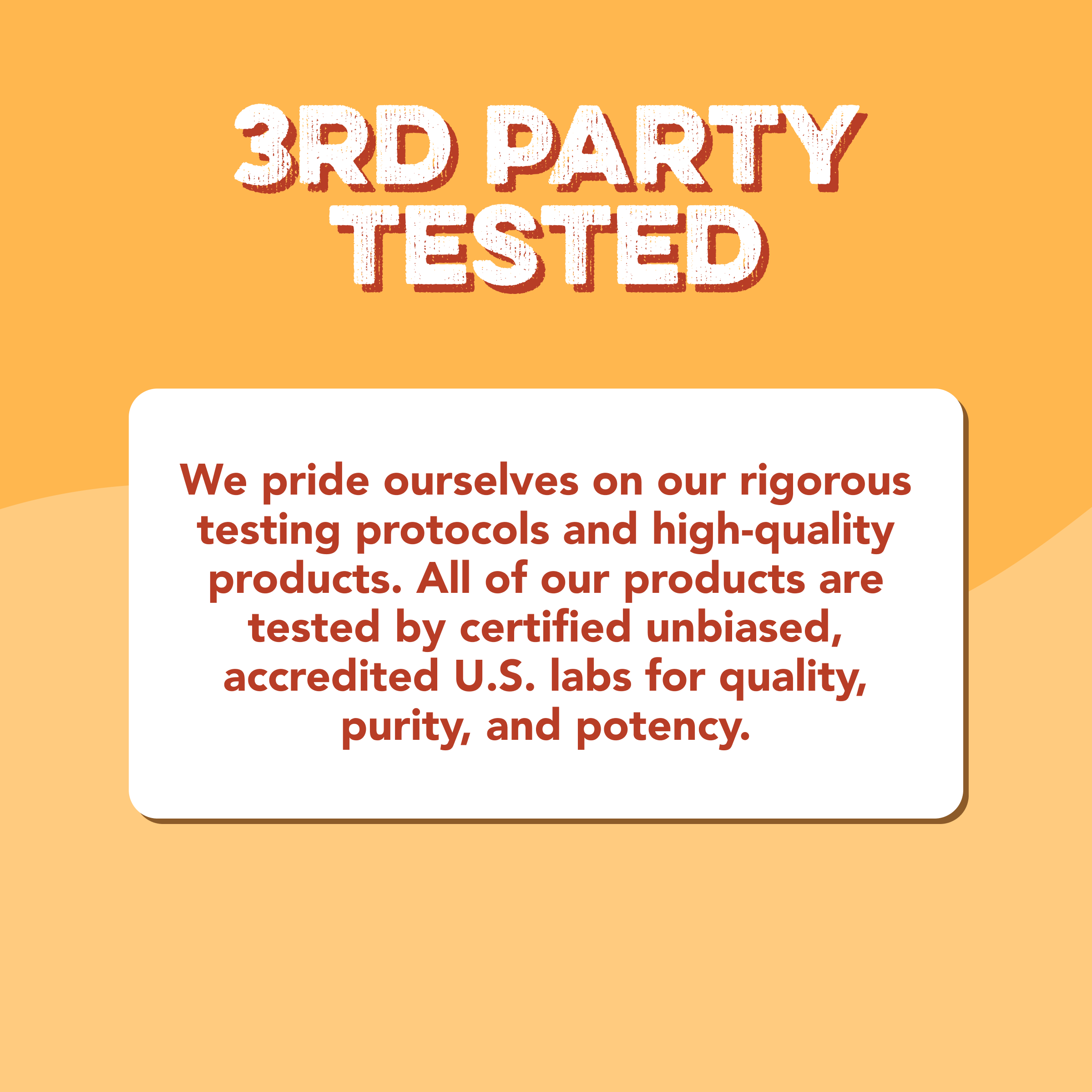 Protein Powder: Caramel Toffee (10 Single Serving Stick Packs)