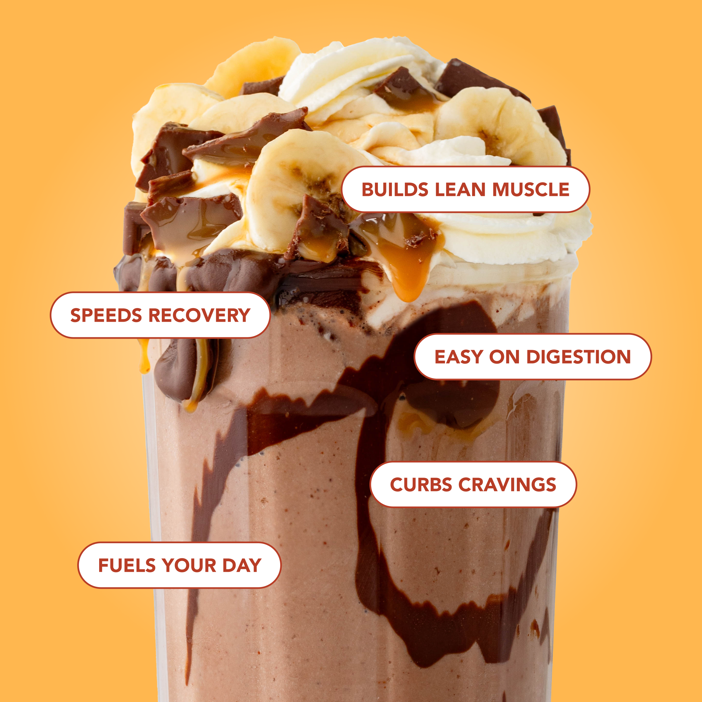 Protein Powder: Caramel Toffee (20 Serving Bag)