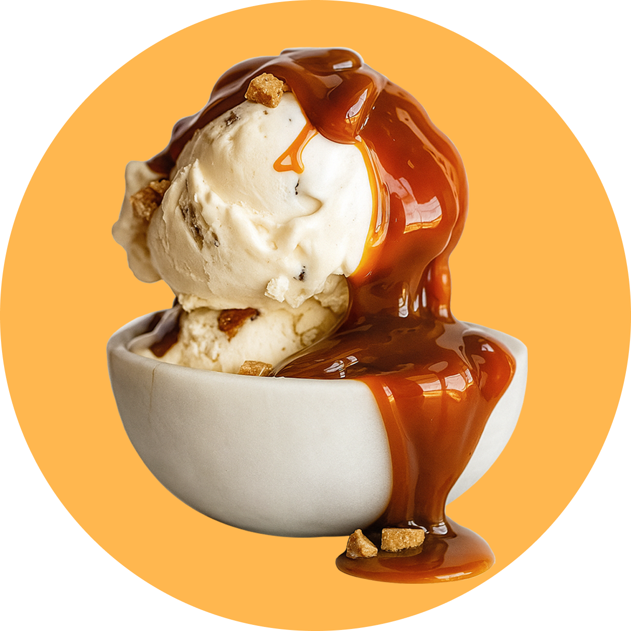 Protein Powder: Caramel Toffee (10 Single Serving Stick Packs)