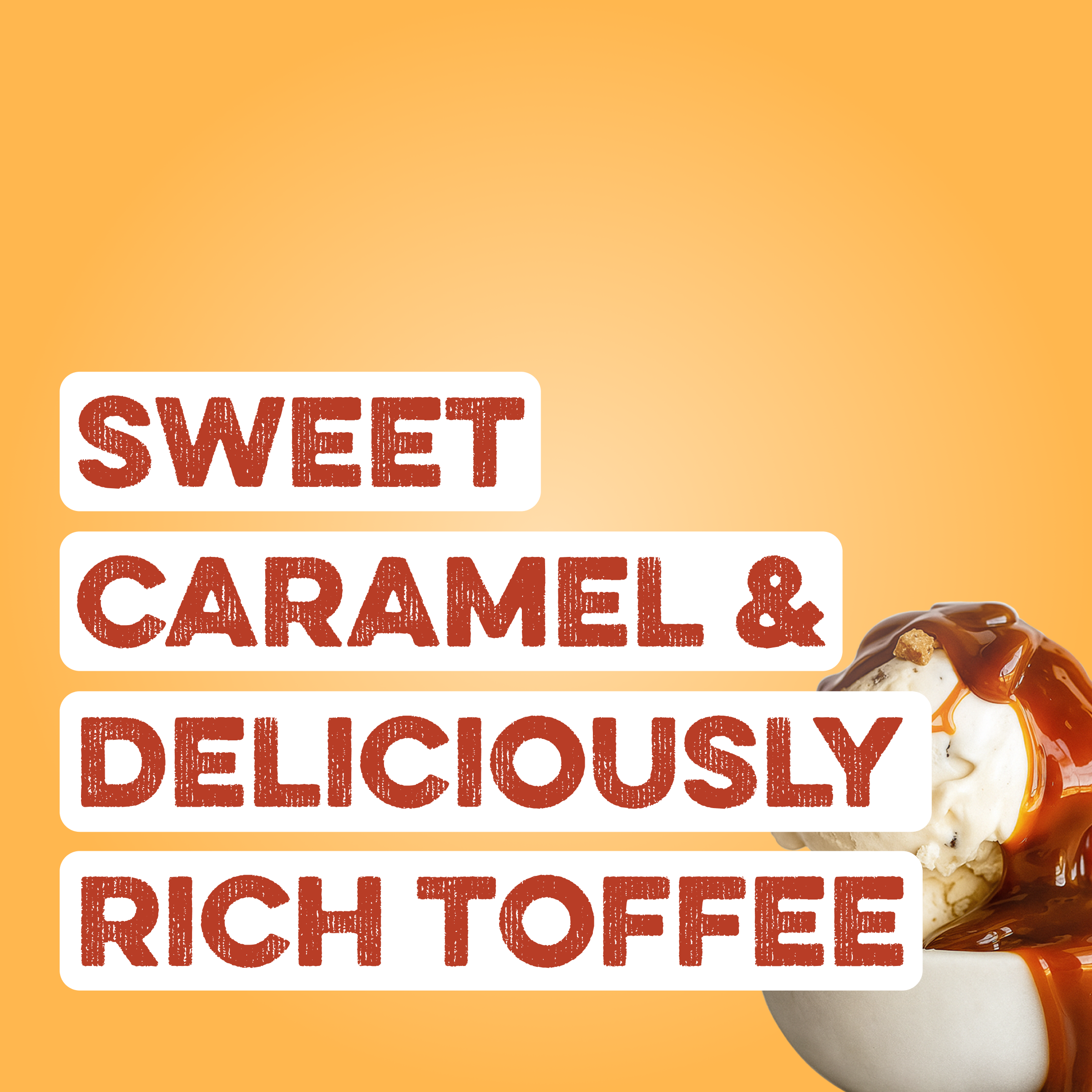 Protein Powder: Caramel Toffee (30 Serving Bag)