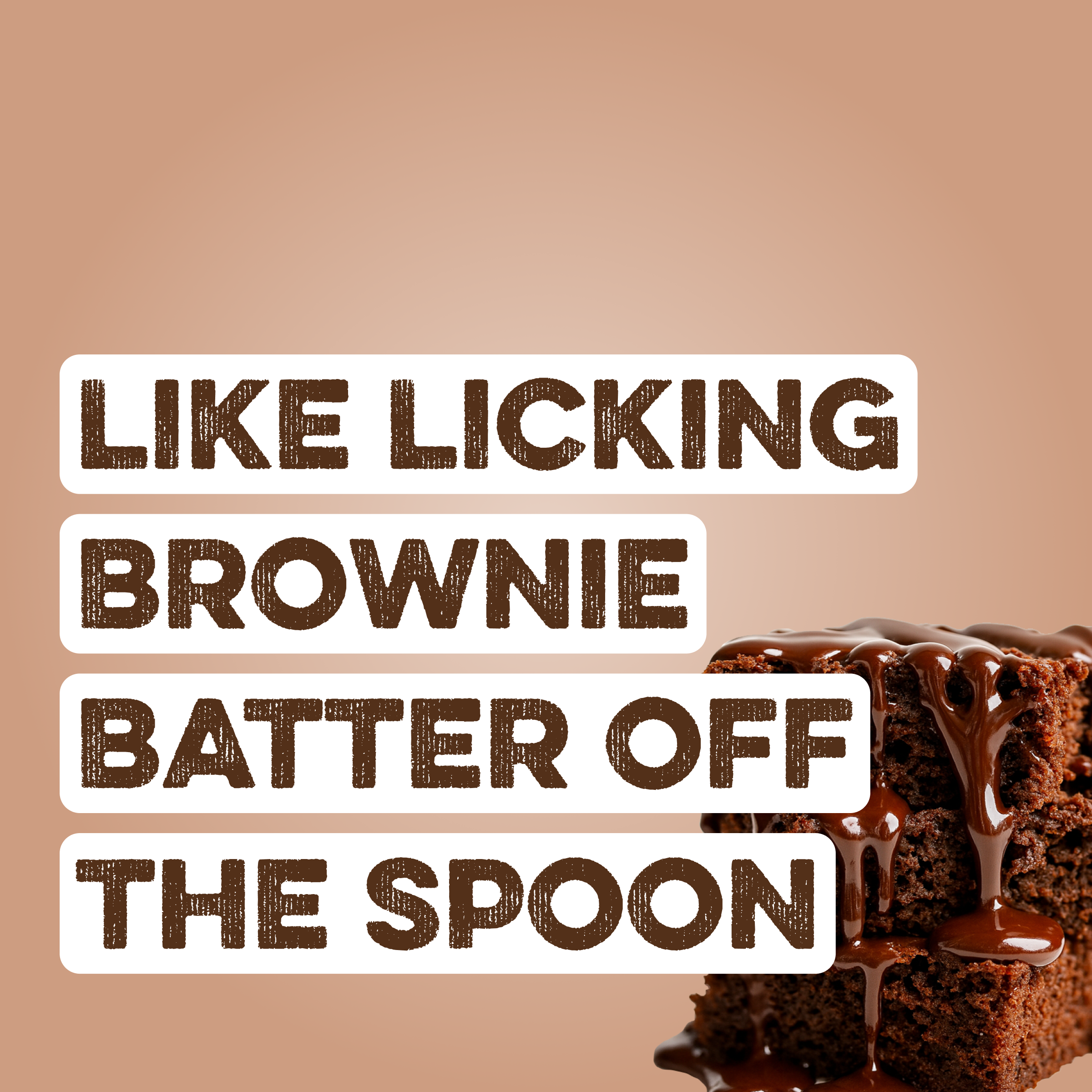 Protein Powder: Chocolate Brownie Batter (Single Serving Stick Pack Sample)