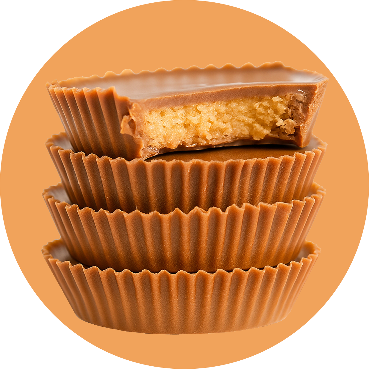 Protein Powder: Chocolate Peanut Butter (30 Serving Bag)