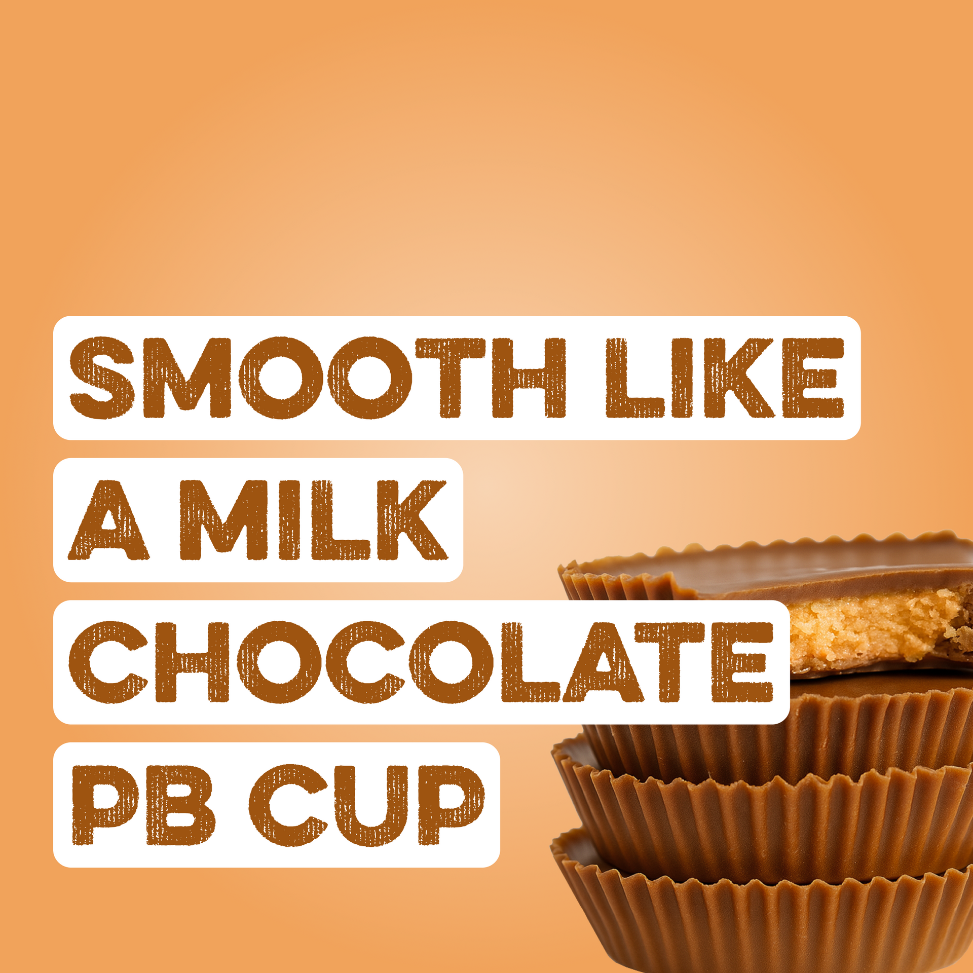 Protein Powder: Chocolate Peanut Butter (10 Single Serving Stick Packs)